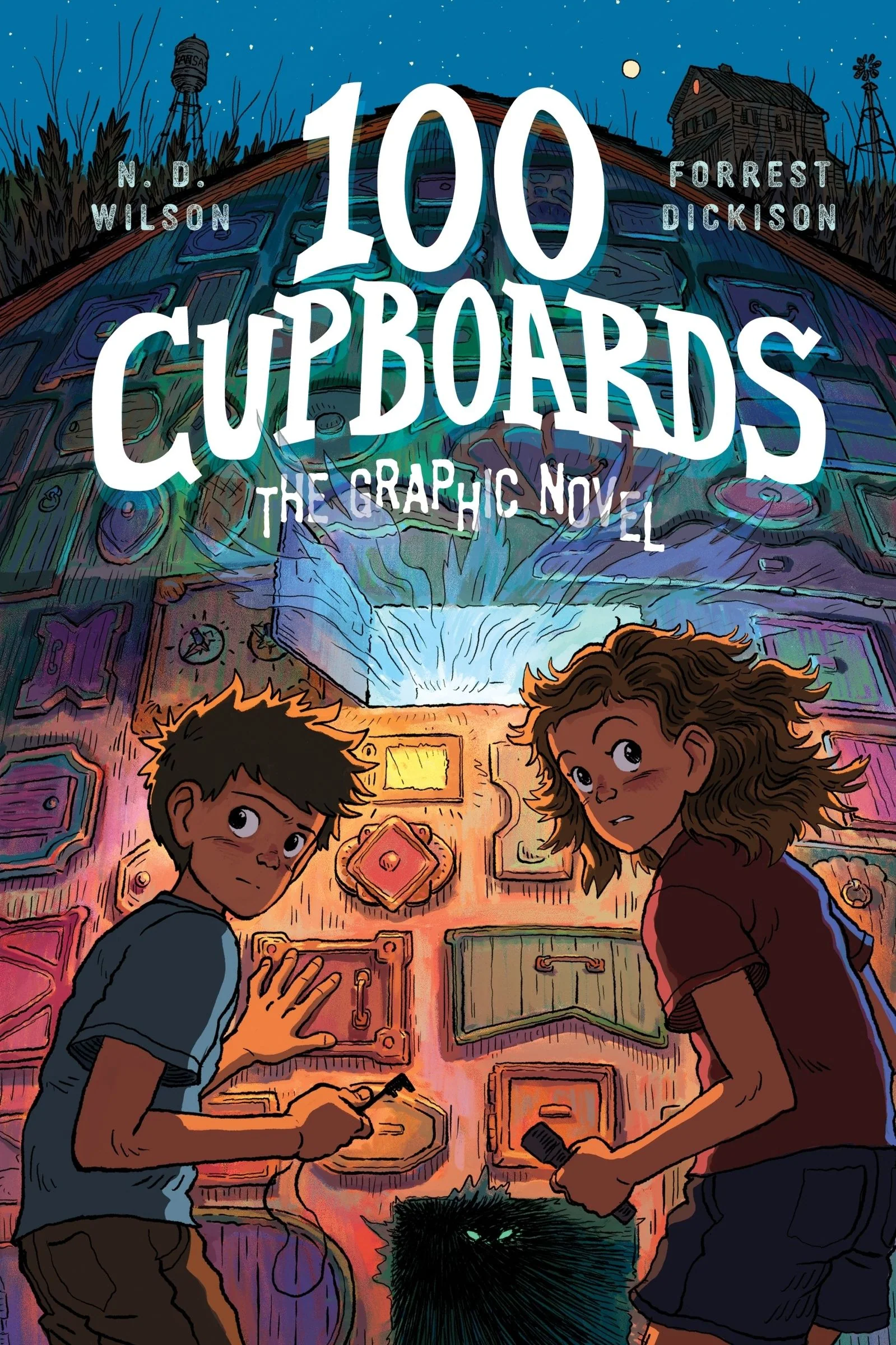 100 Cupboards