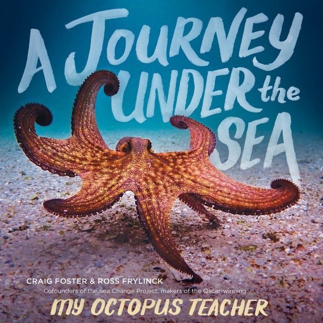 A Journey Under the Sea - Image 2