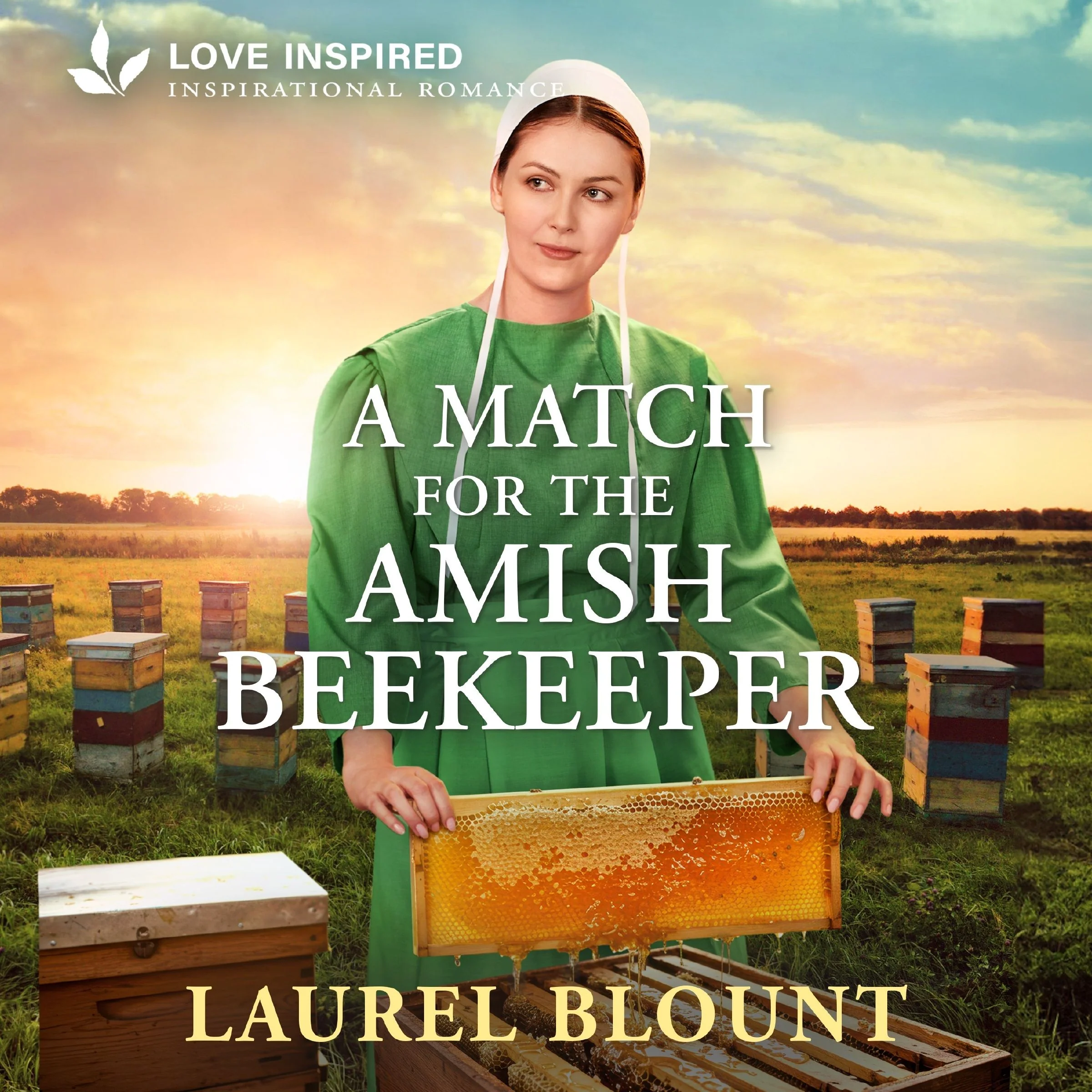 A Match for the Amish Beekeeper - Image 2