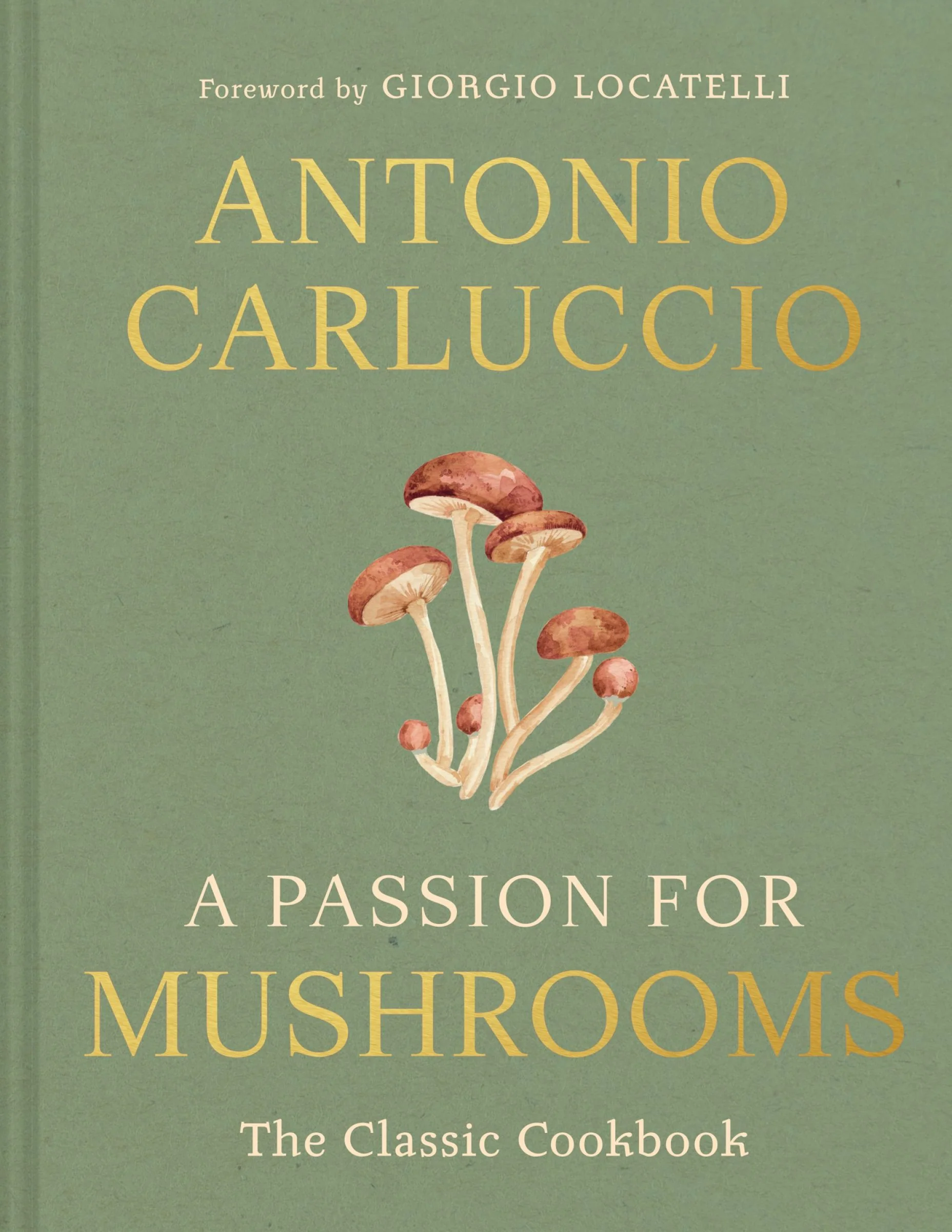 A Passion for Mushrooms - Image 3