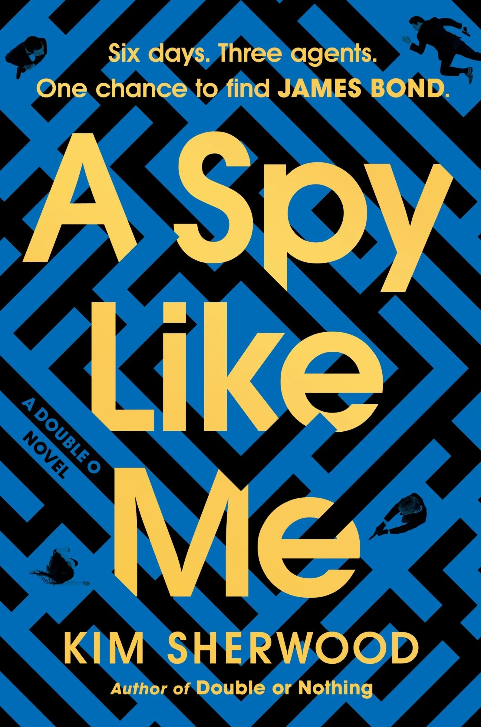 A Spy Like Me - Image 5