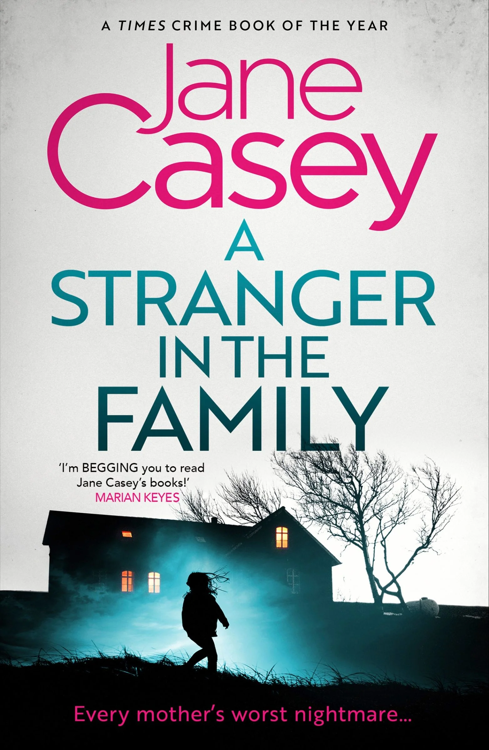 A Stranger in the Family (Maeve Kerrigan, Book 11) - Image 2
