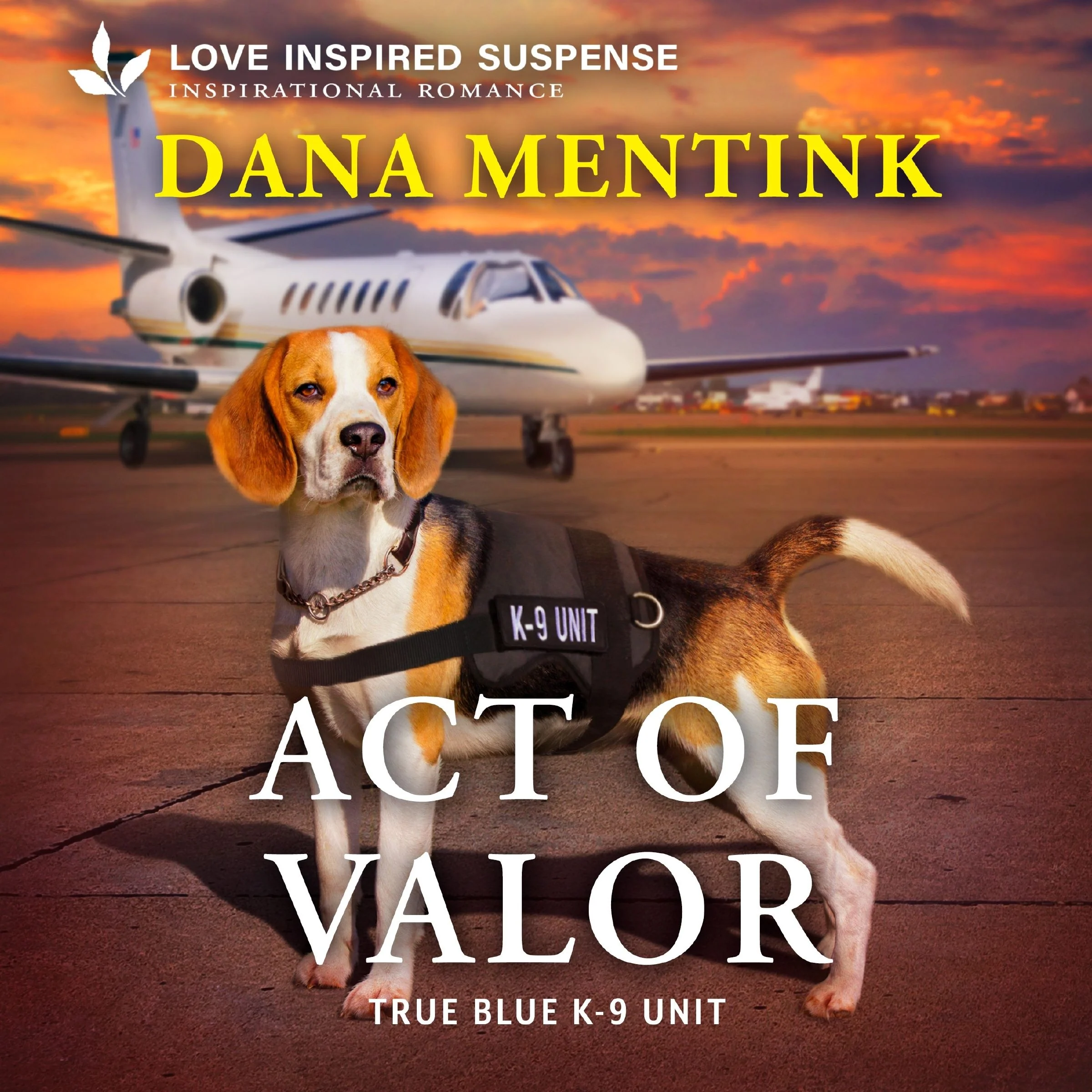 Act of Valor - Image 2