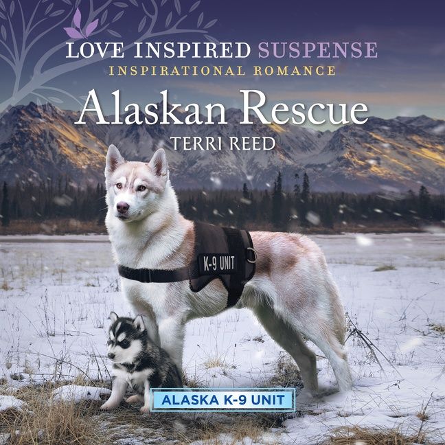 Alaskan Rescue - Image 2