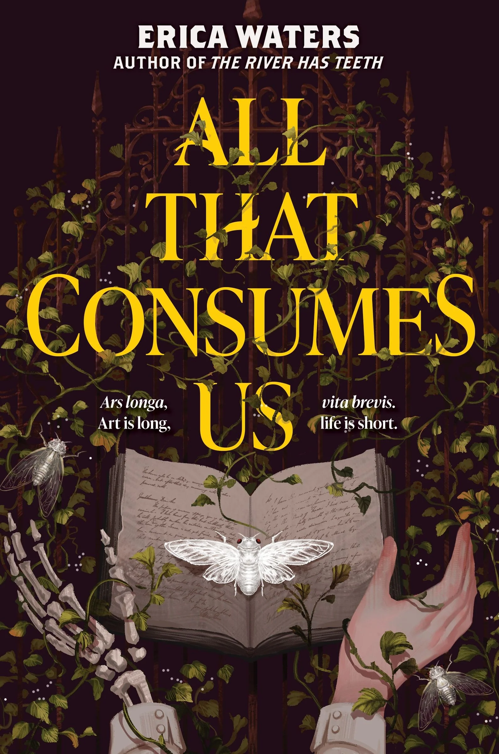 All That Consumes Us - Image 2
