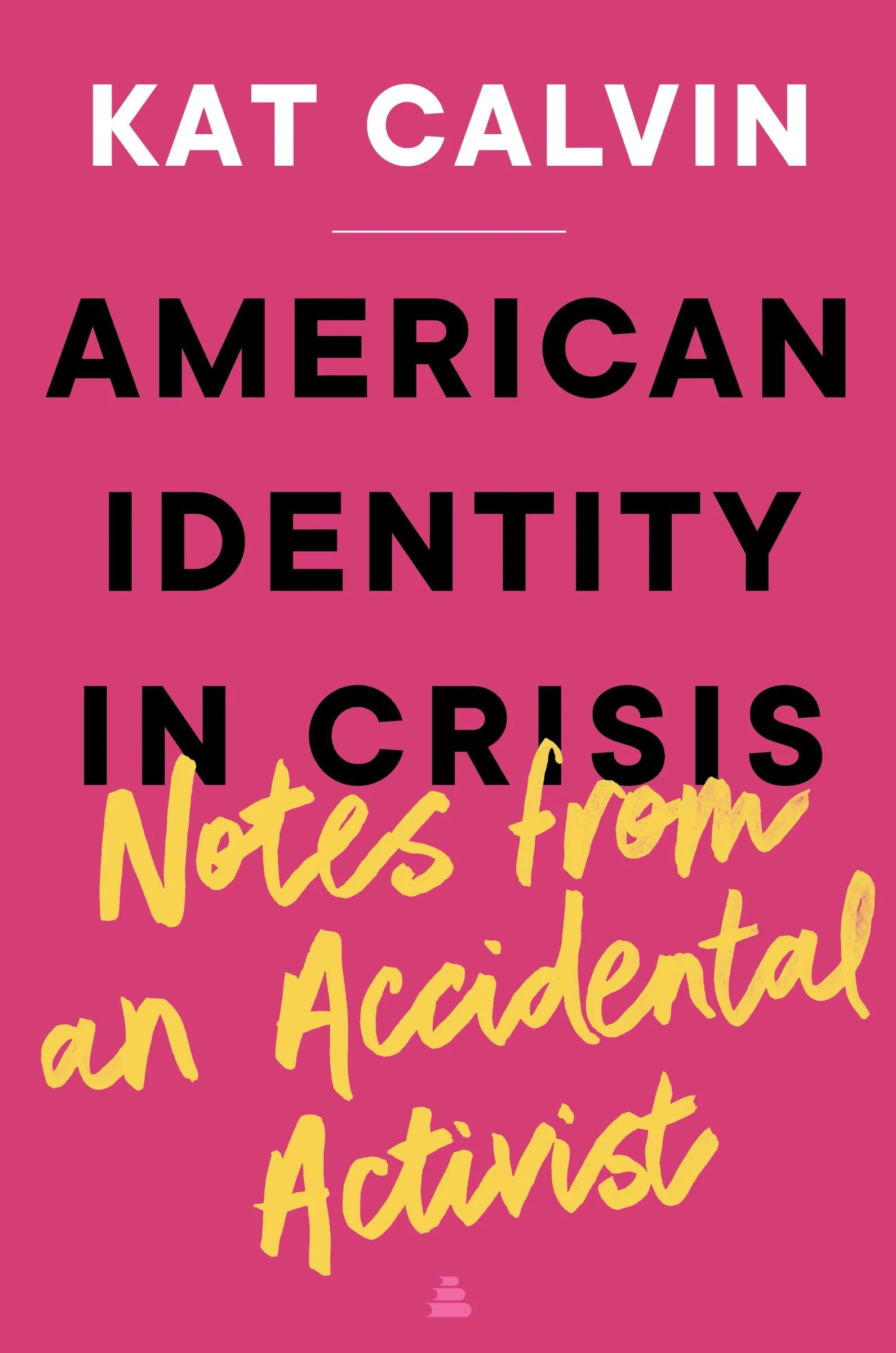 American Identity in Crisis: Notes from an Accidental Activist - Image 4