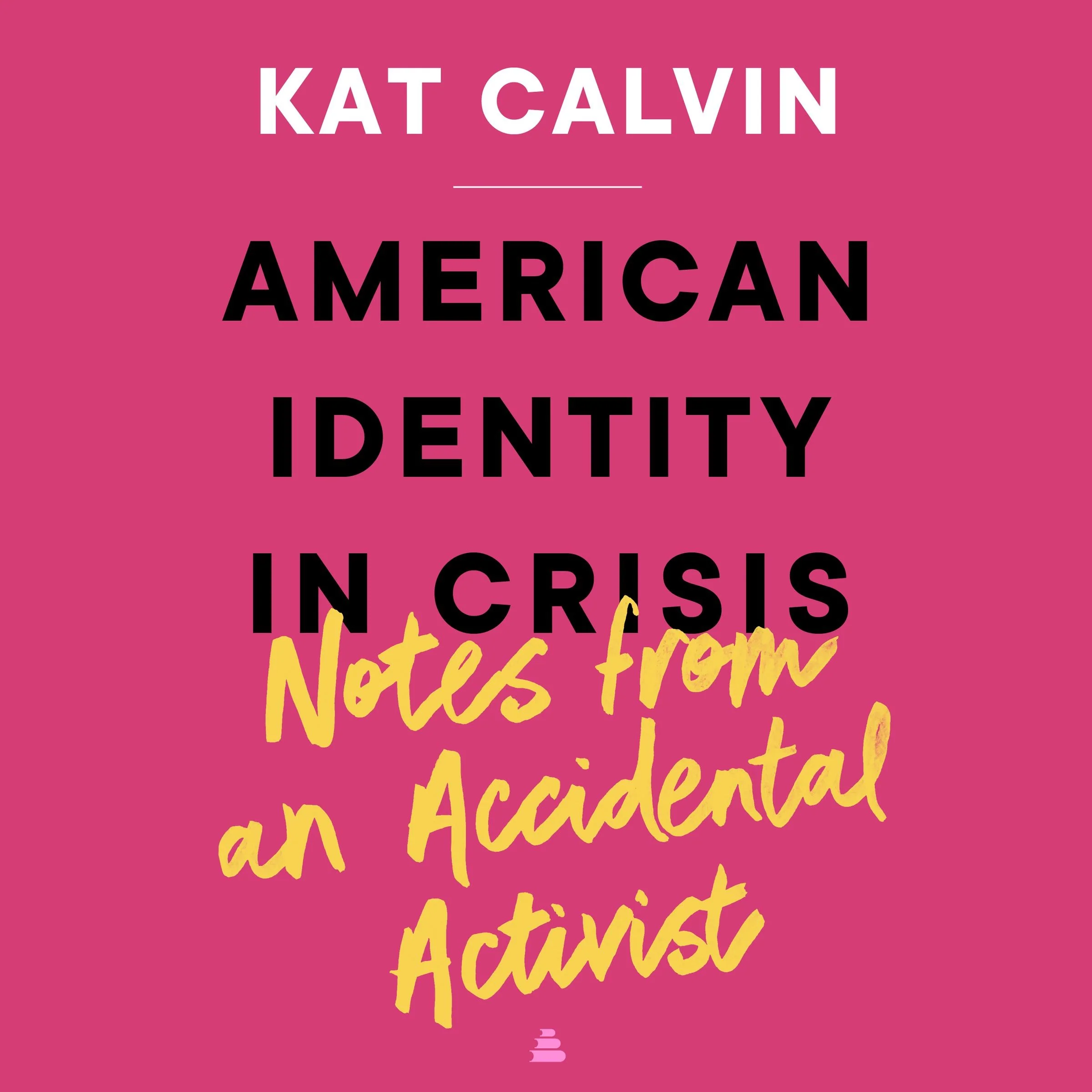 American Identity in Crisis: Notes from an Accidental Activist - Image 5