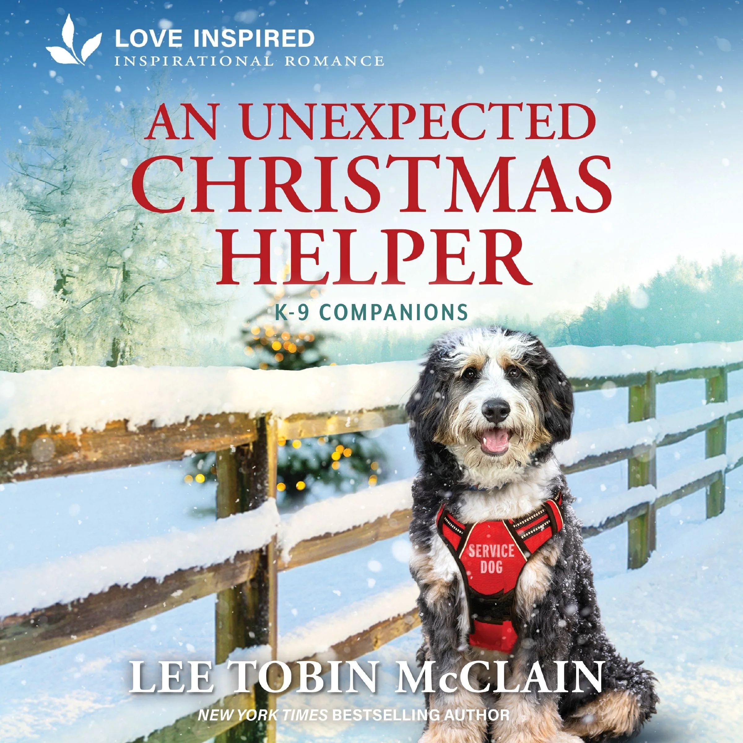 An Unexpected Christmas Helper