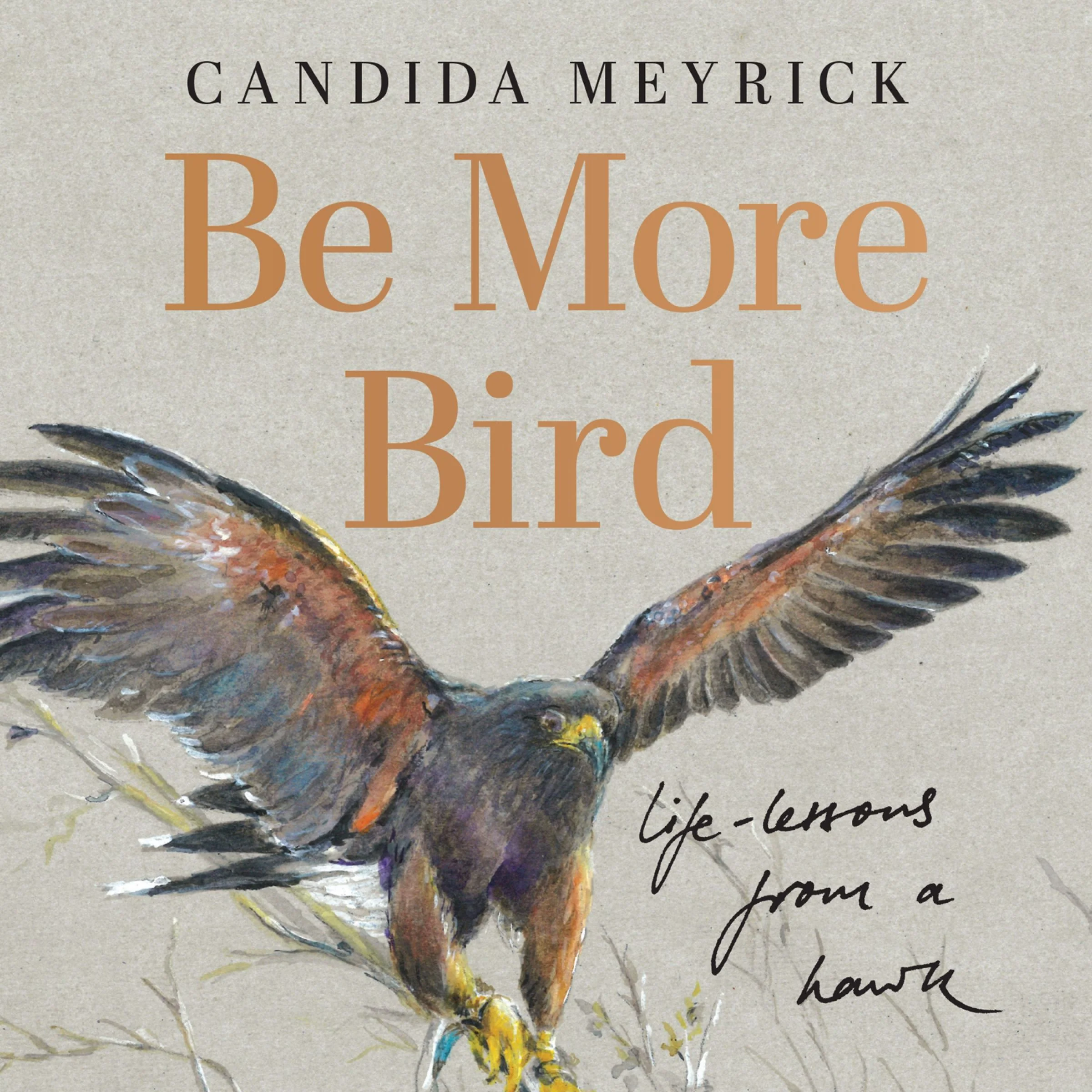 Be More Bird: Life Lessons from a Harris Hawk - Image 2