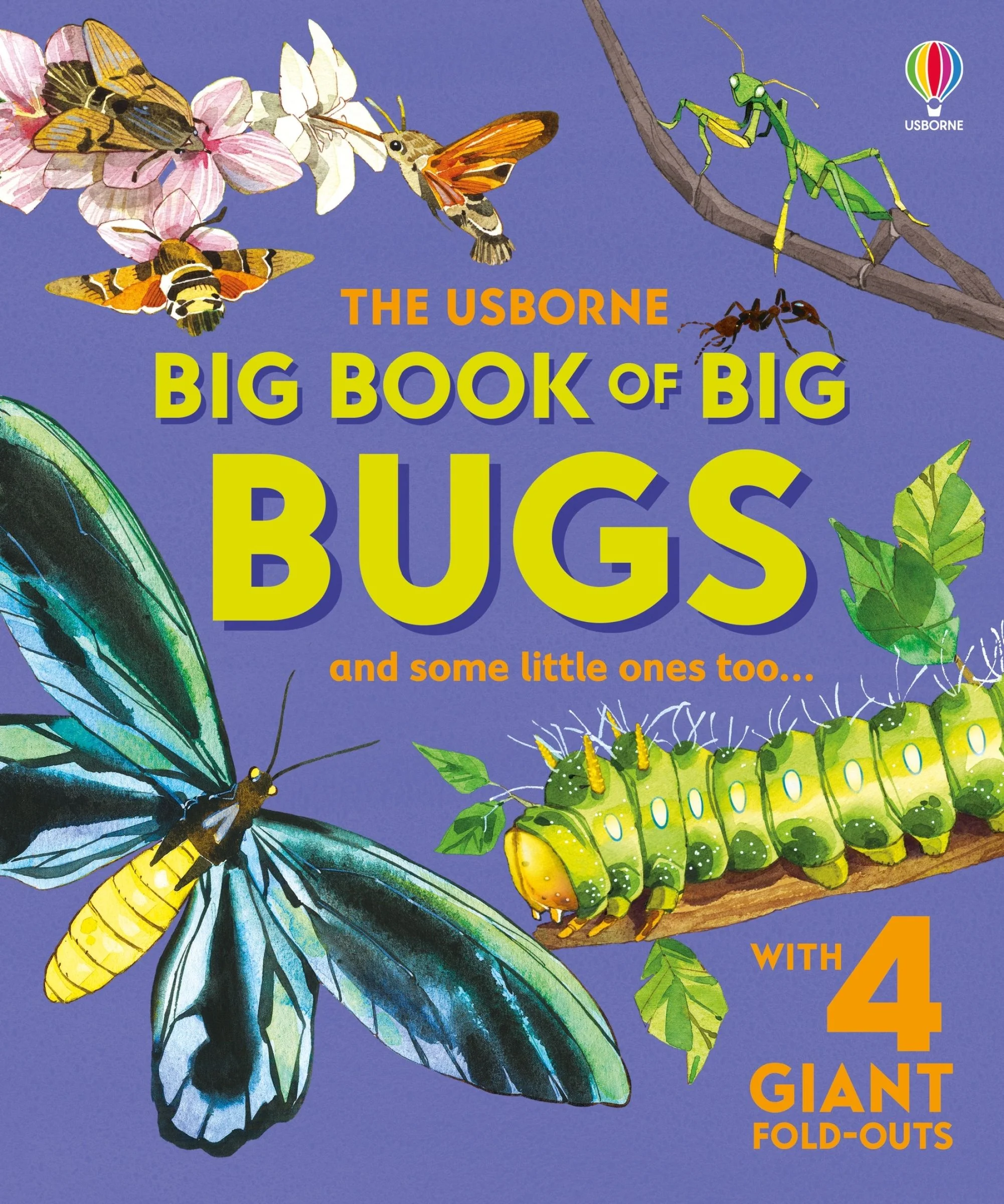 Big Book of Big Bugs - Image 2