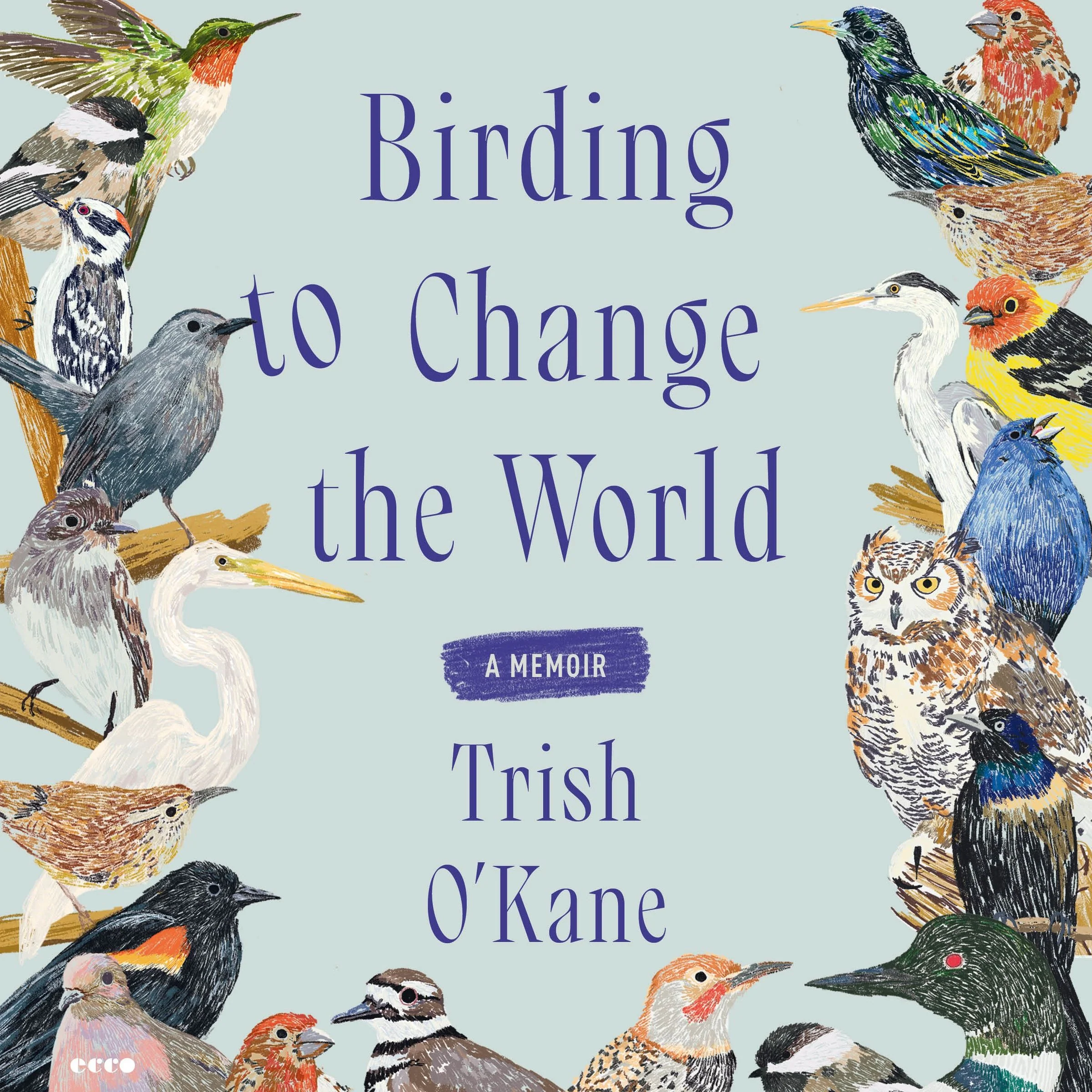 Birding to Change the World - Image 5