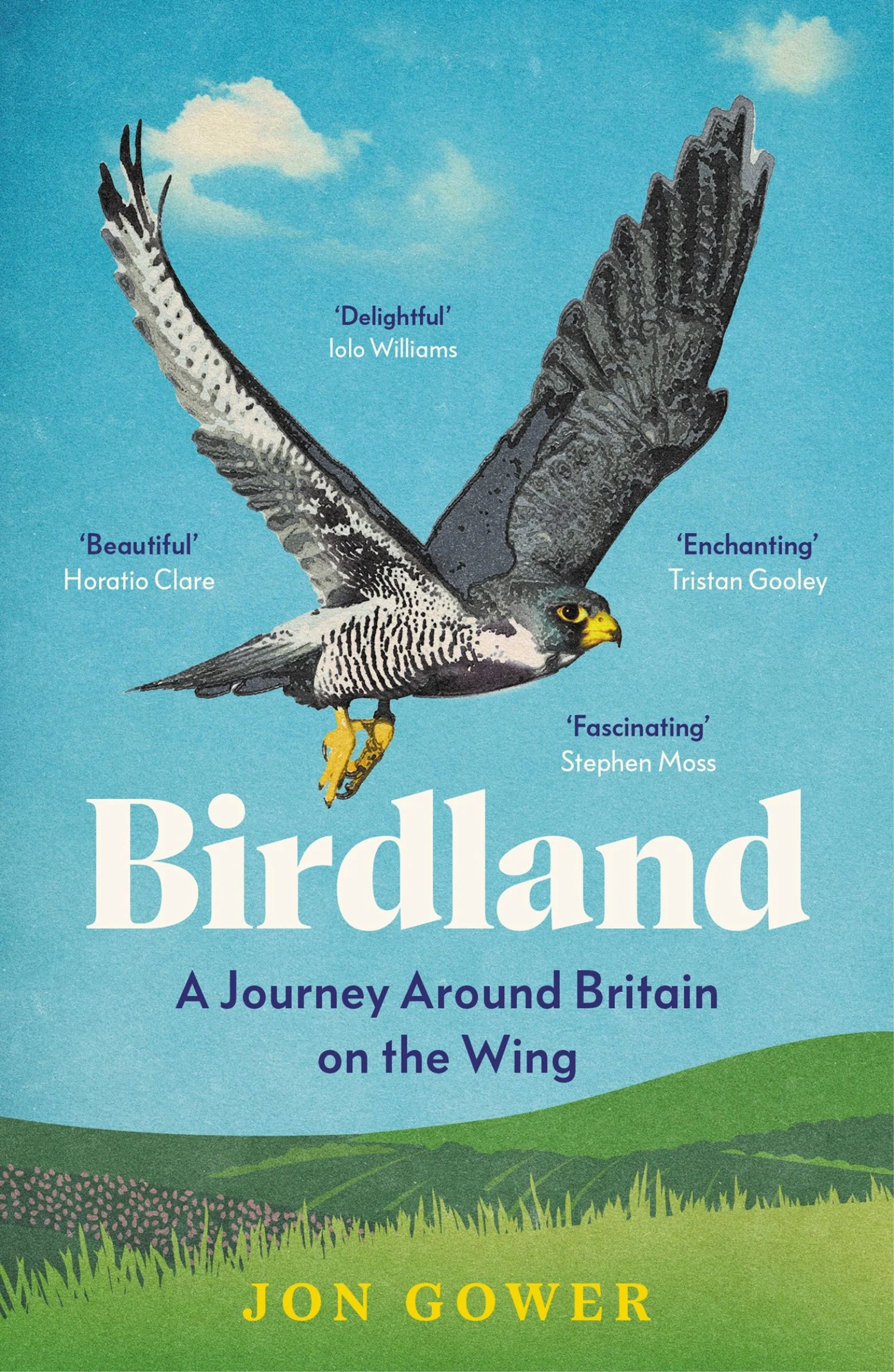 Birdland: A Journey Around Britain on the Wing - Image 4