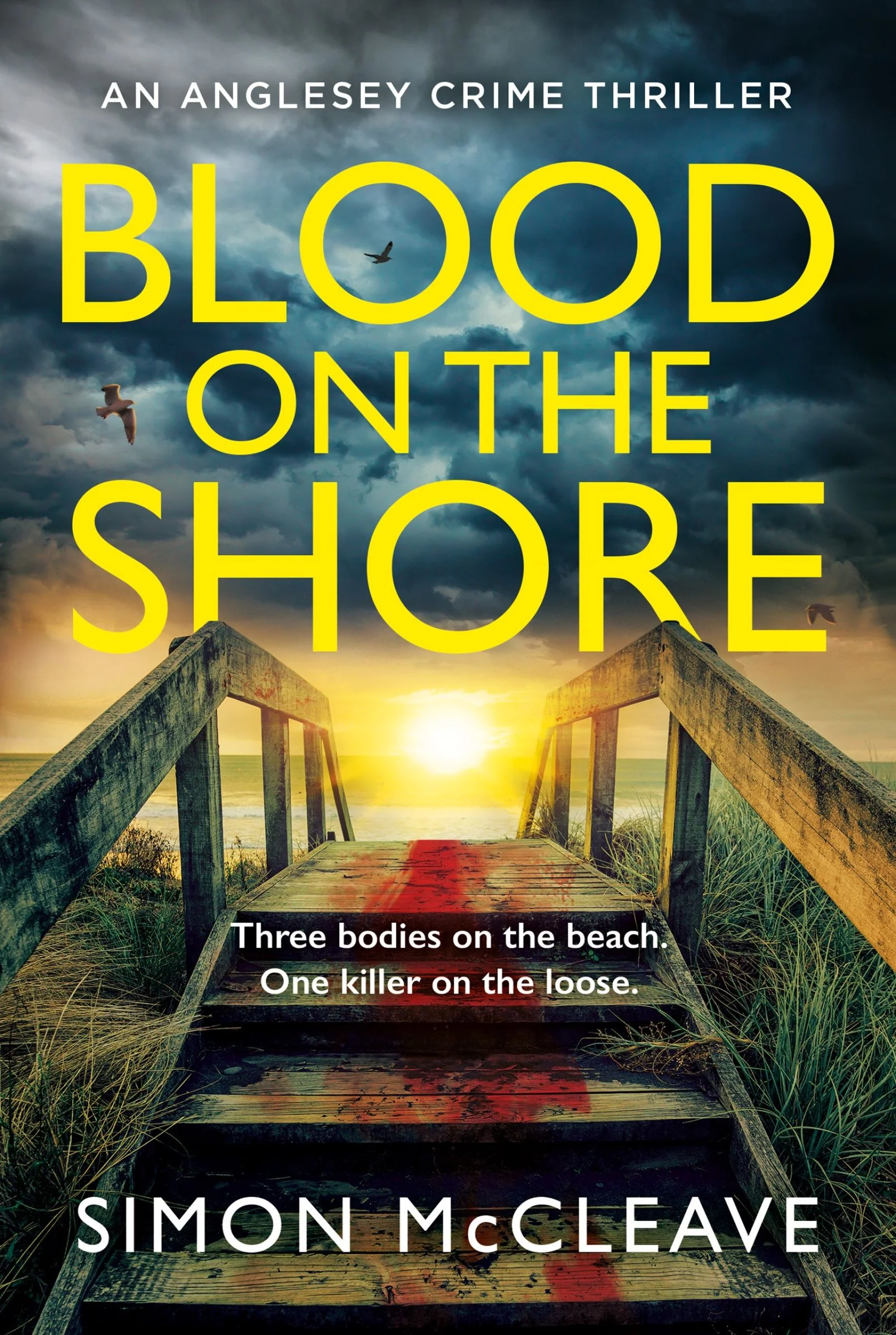 Blood on the Shore (The Anglesey Series, Book 3) - Image 2