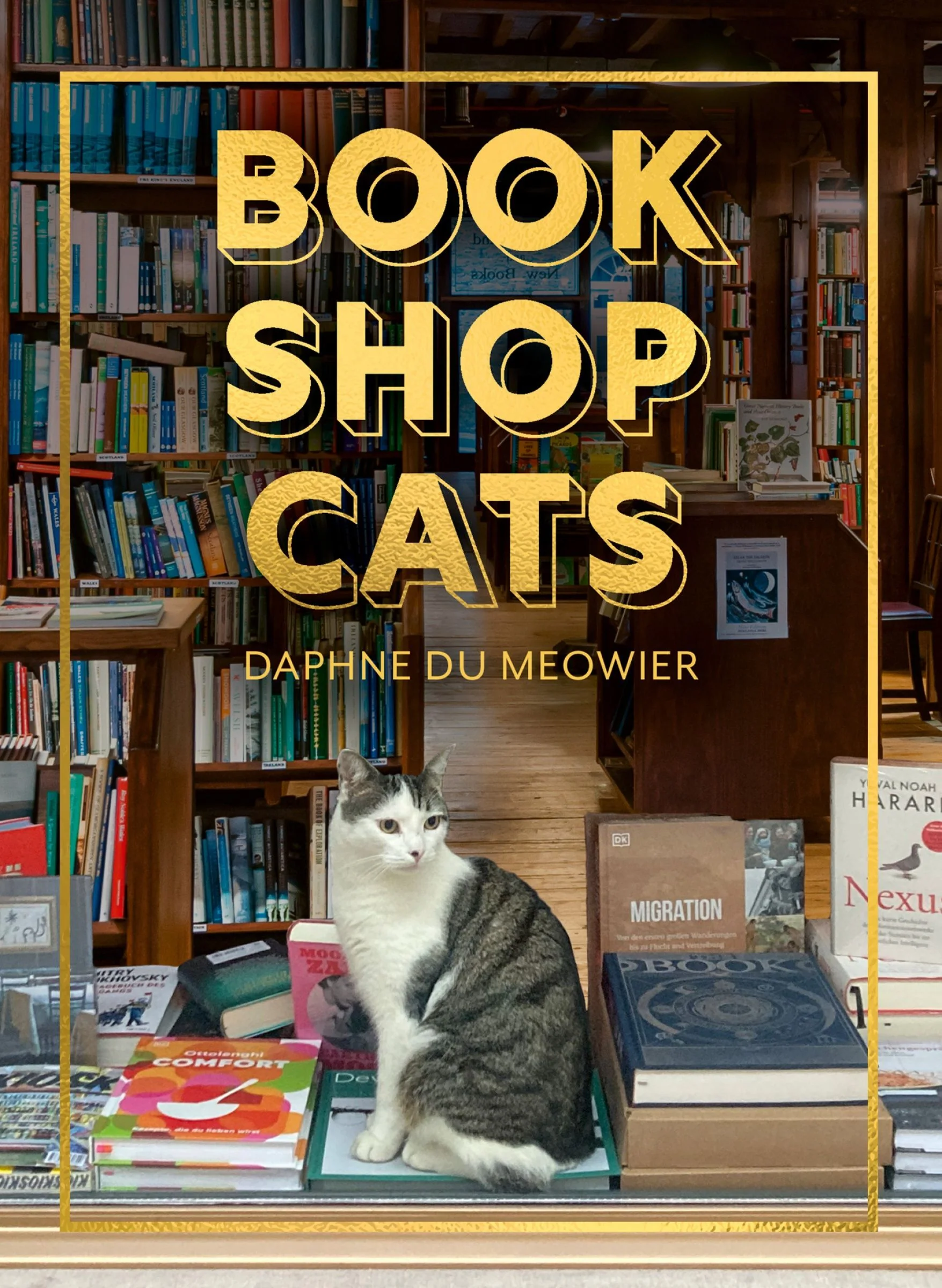 Bookshop Cats - Image 3