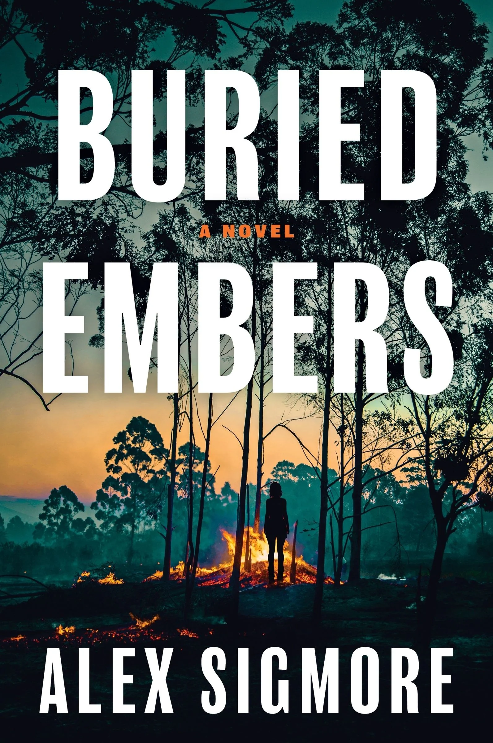 Buried Embers - Image 2