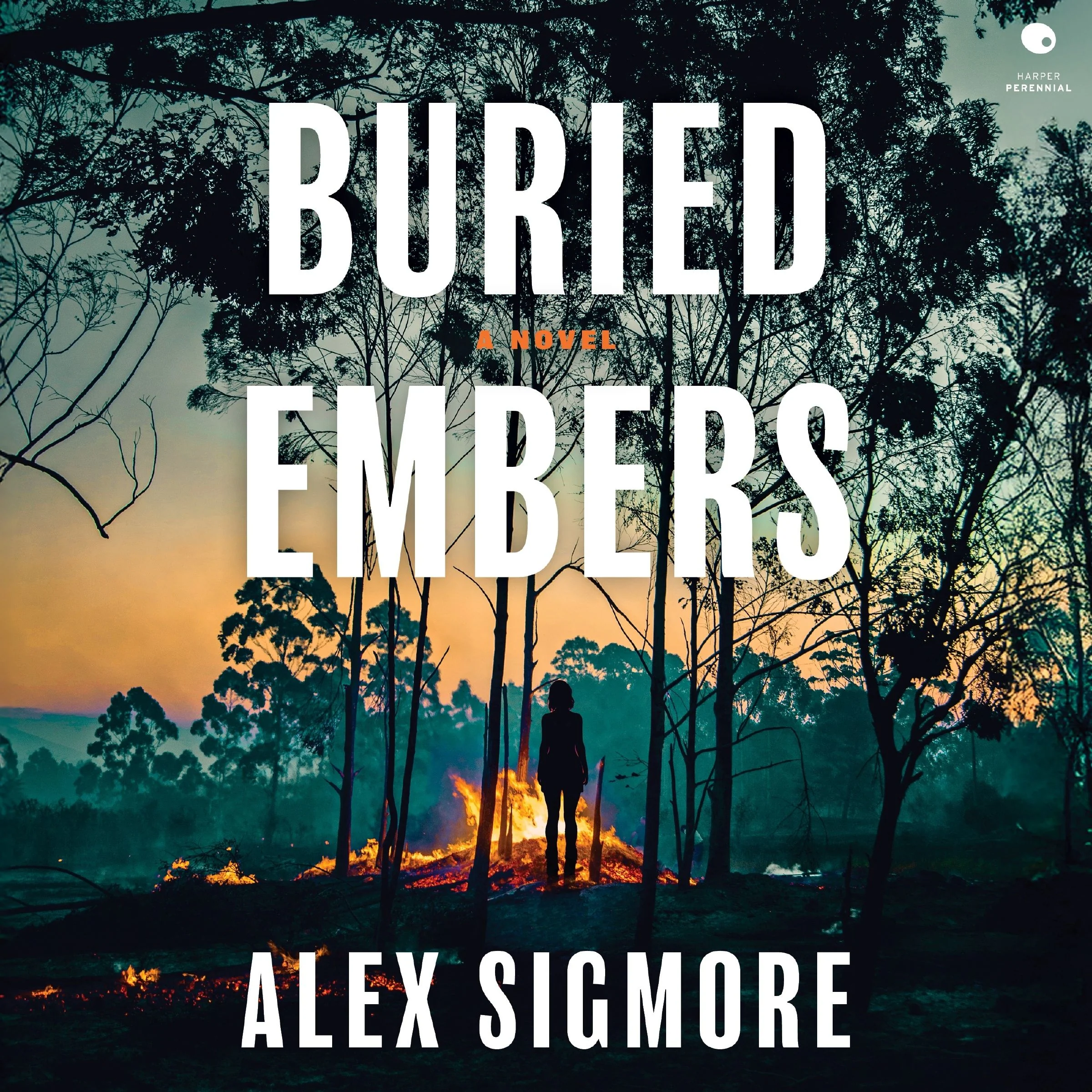 Buried Embers - Image 3