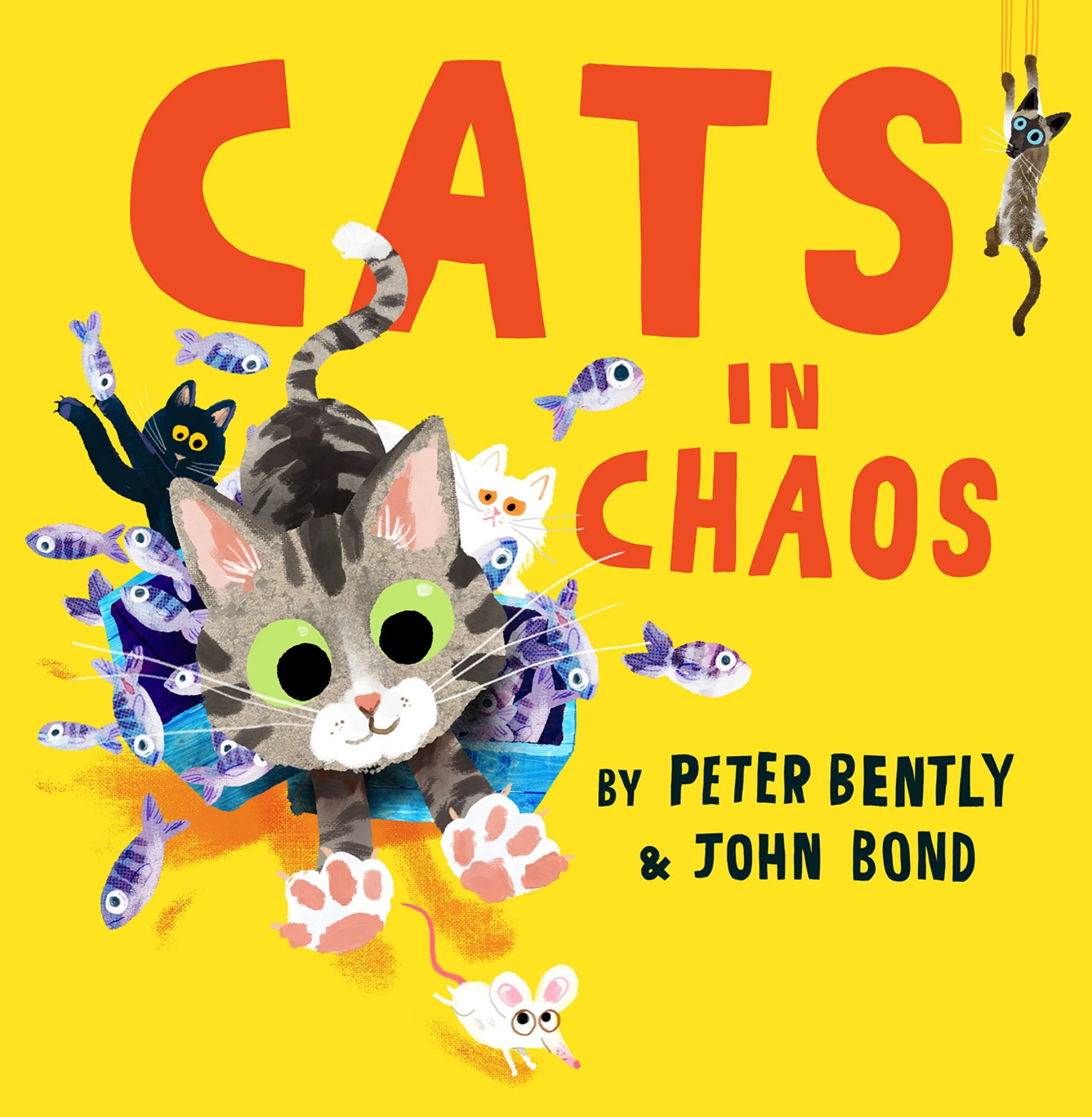 Cats in Chaos - Image 3