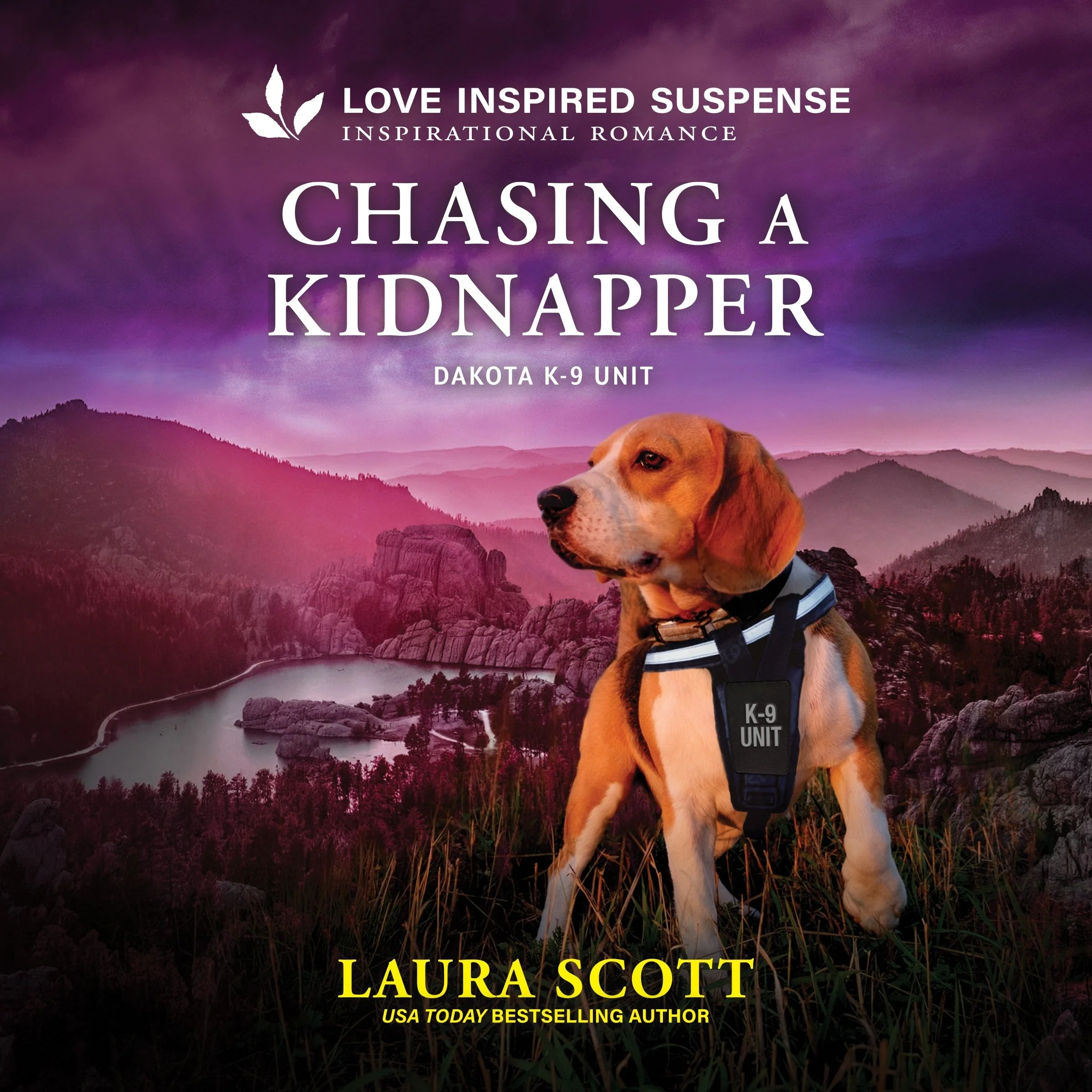 Chasing a Kidnapper