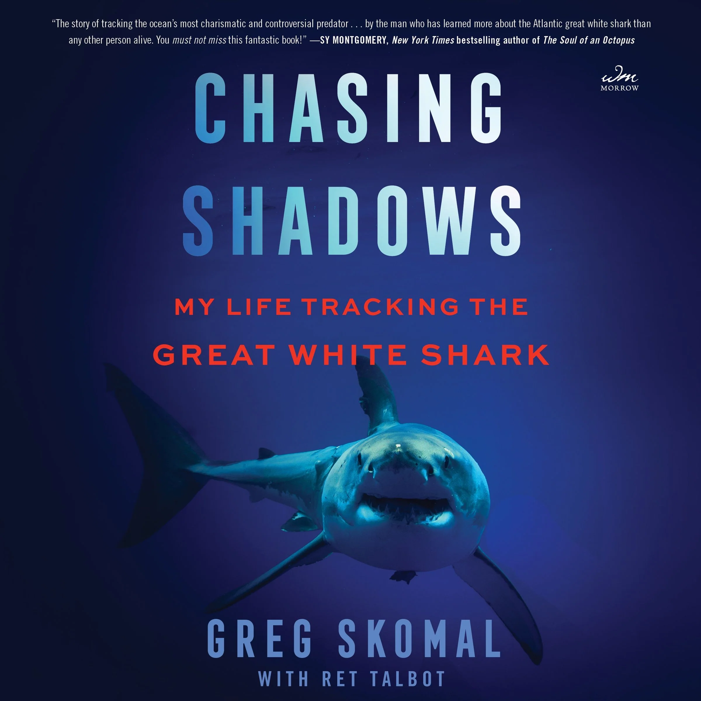 Chasing Shadows - Image 5