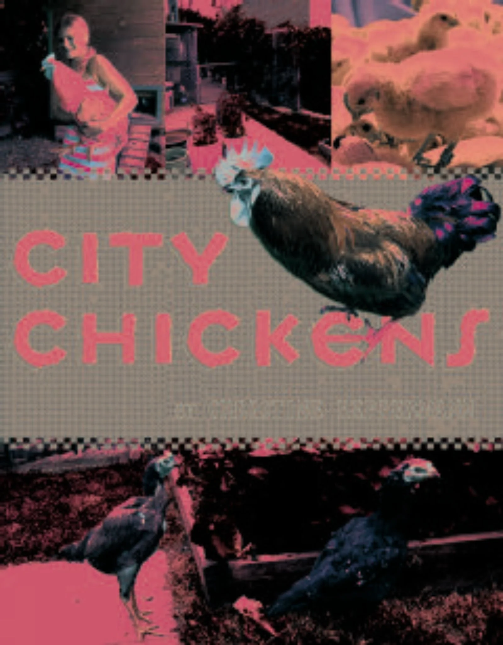 City Chickens - Image 2