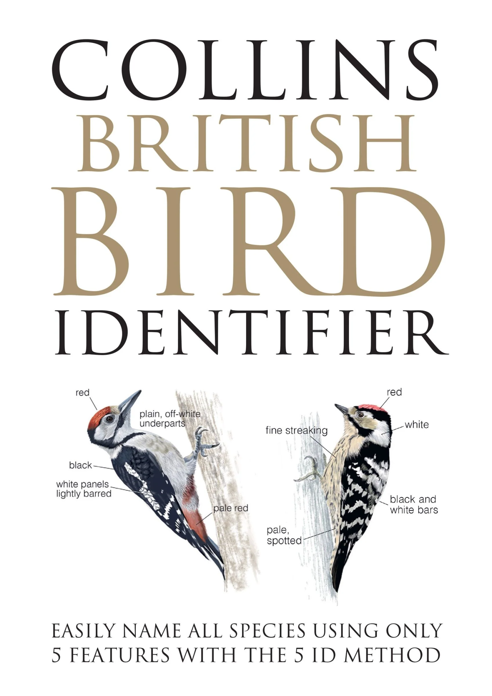 Collins British Bird Identifier: Easily Name All Species Using Only 5 Features With the 5 ID Method - Image 3