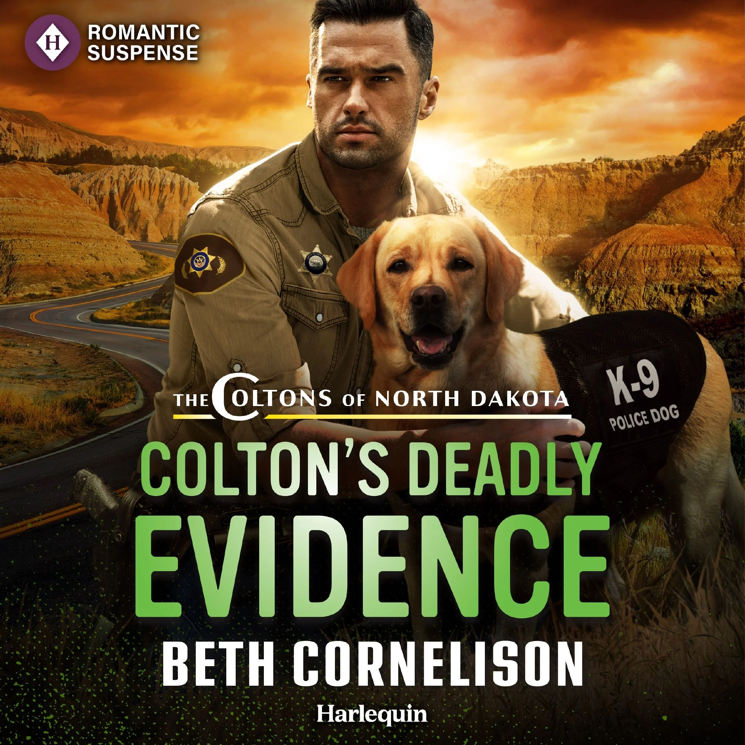 Colton's Deadly Evidence - Image 2