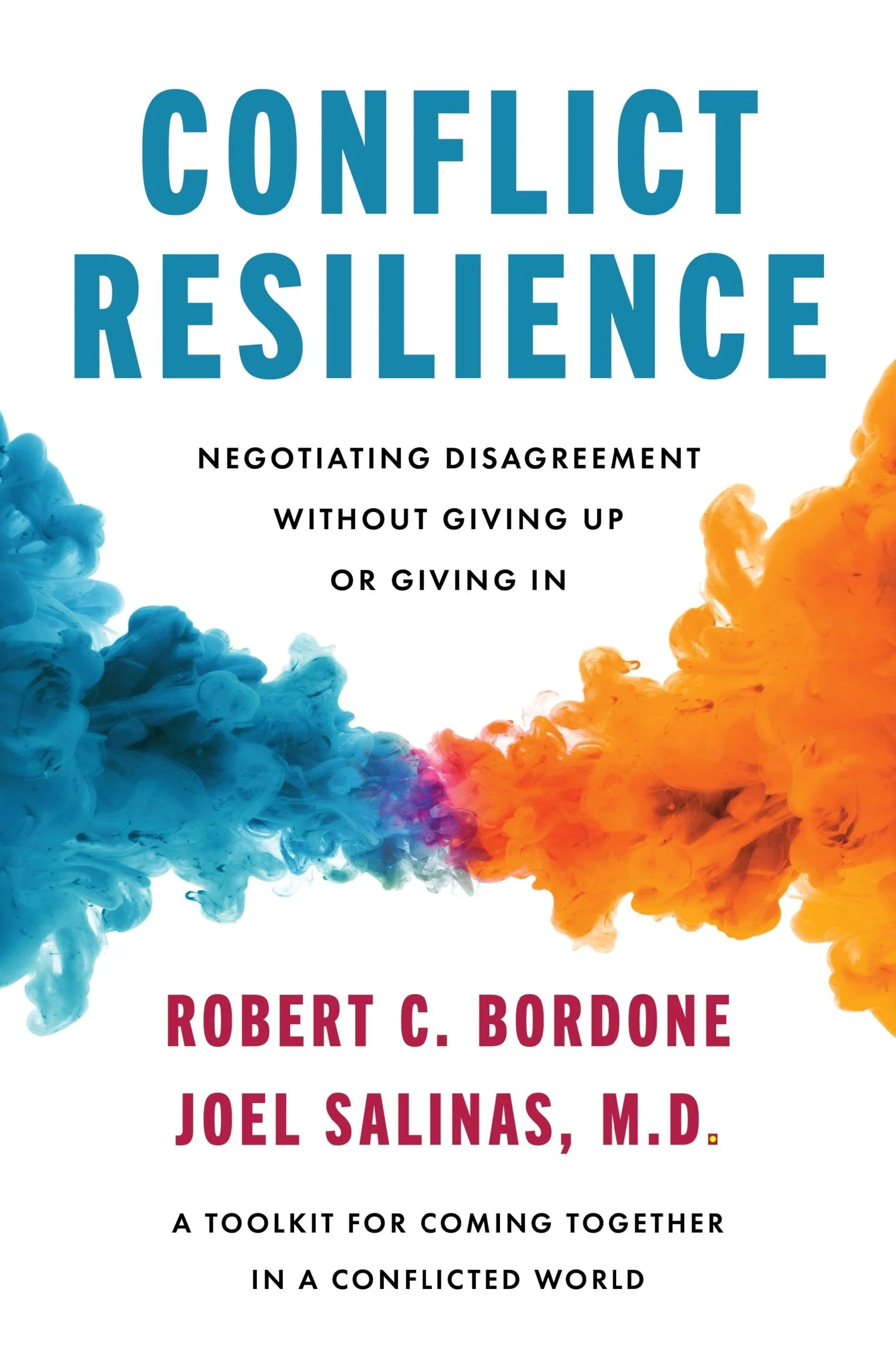 Conflict Resilience - Image 3