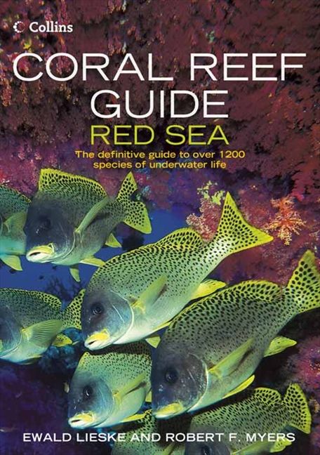 Coral Reef Guide Red Sea - Image 2