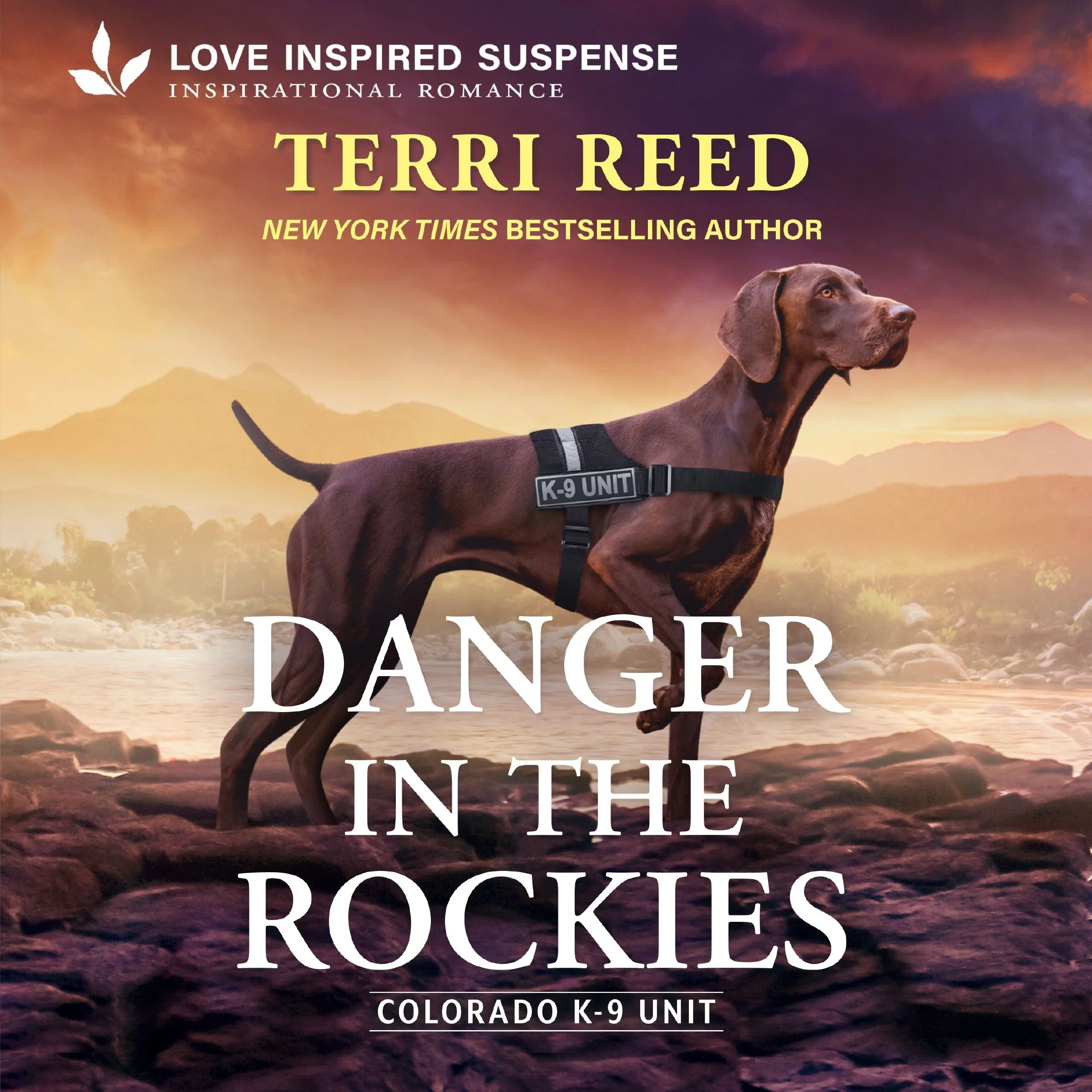 Danger in the Rockies - Image 2