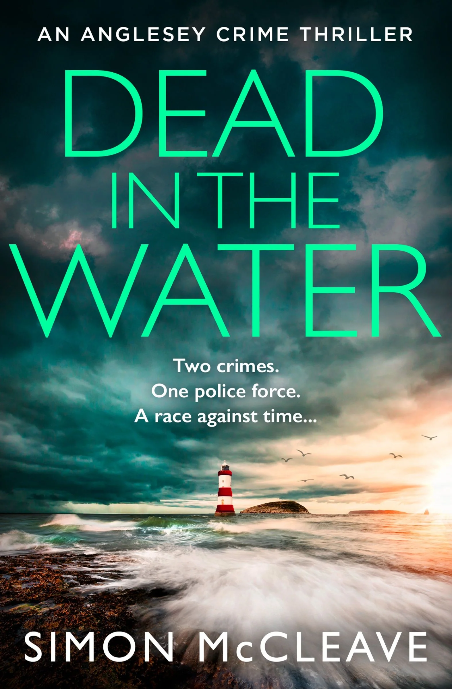 Dead in the Water (The Anglesey Series, Book 5)