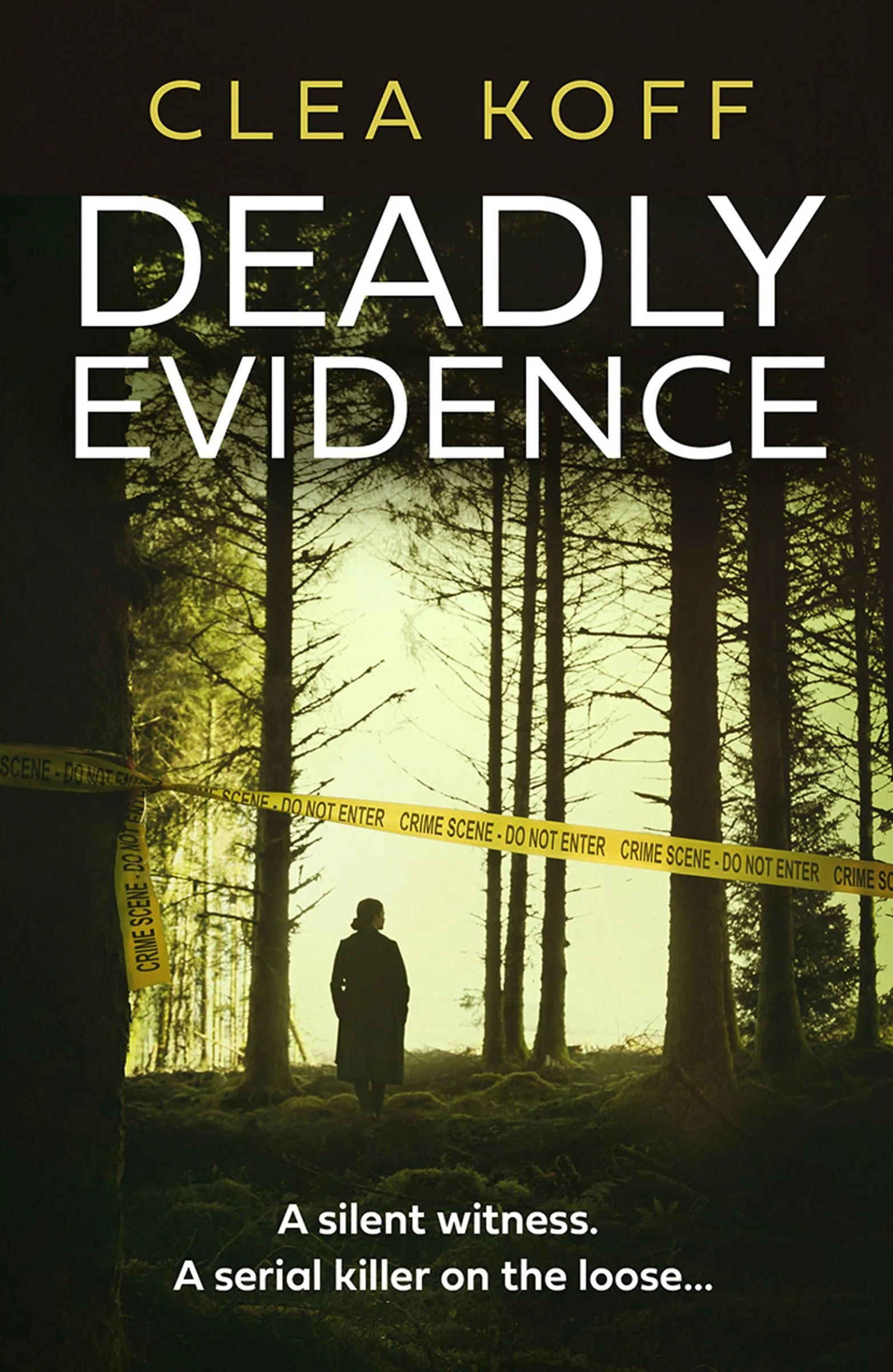 Deadly Evidence (The Jayne and Steelie Series, Book 2)