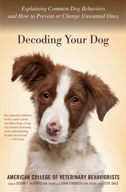 Decoding Your Dog - Image 2