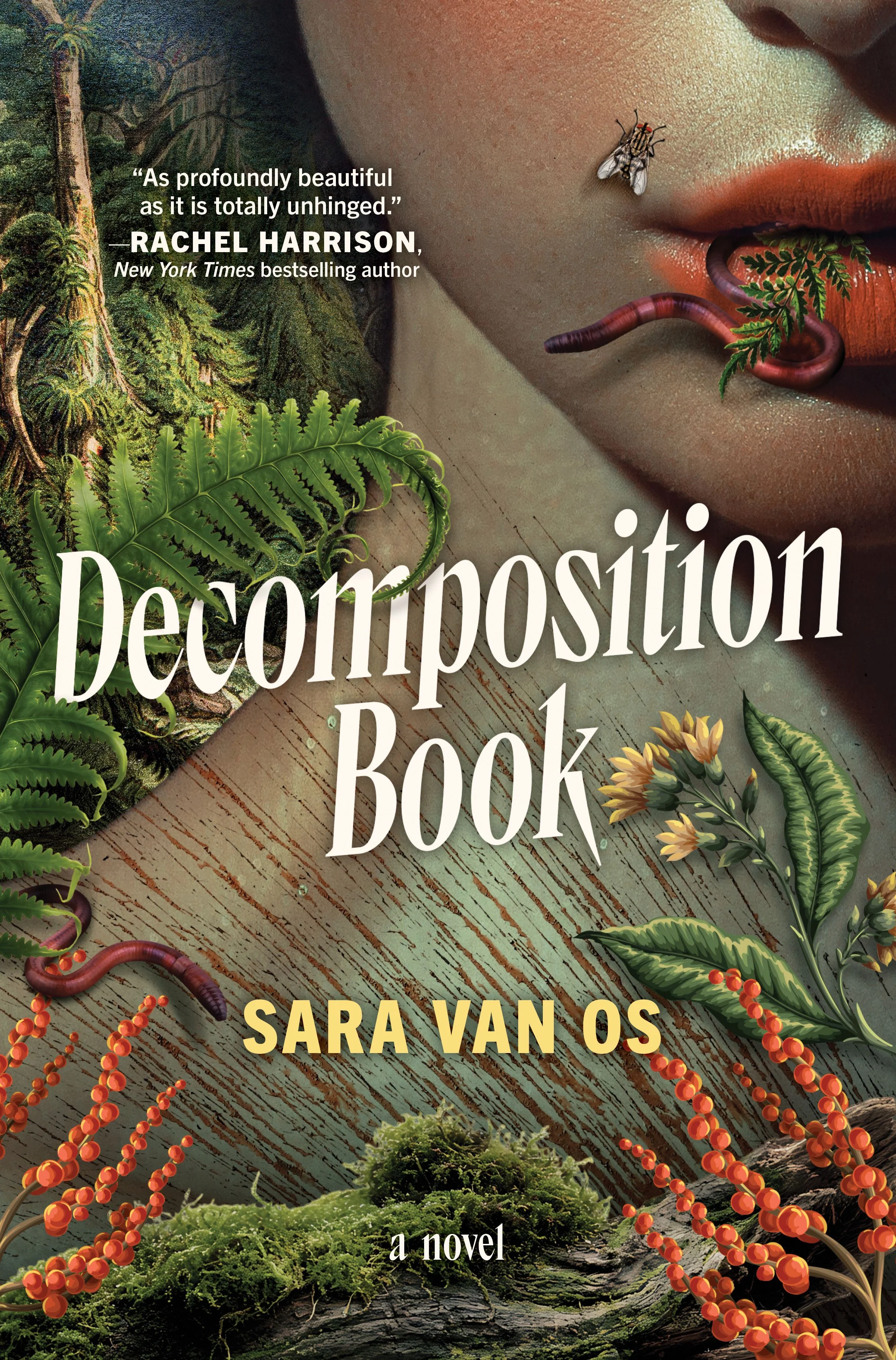 Decomposition Book - Image 4