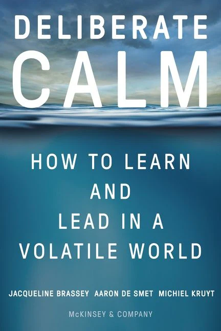 Deliberate Calm - Image 3