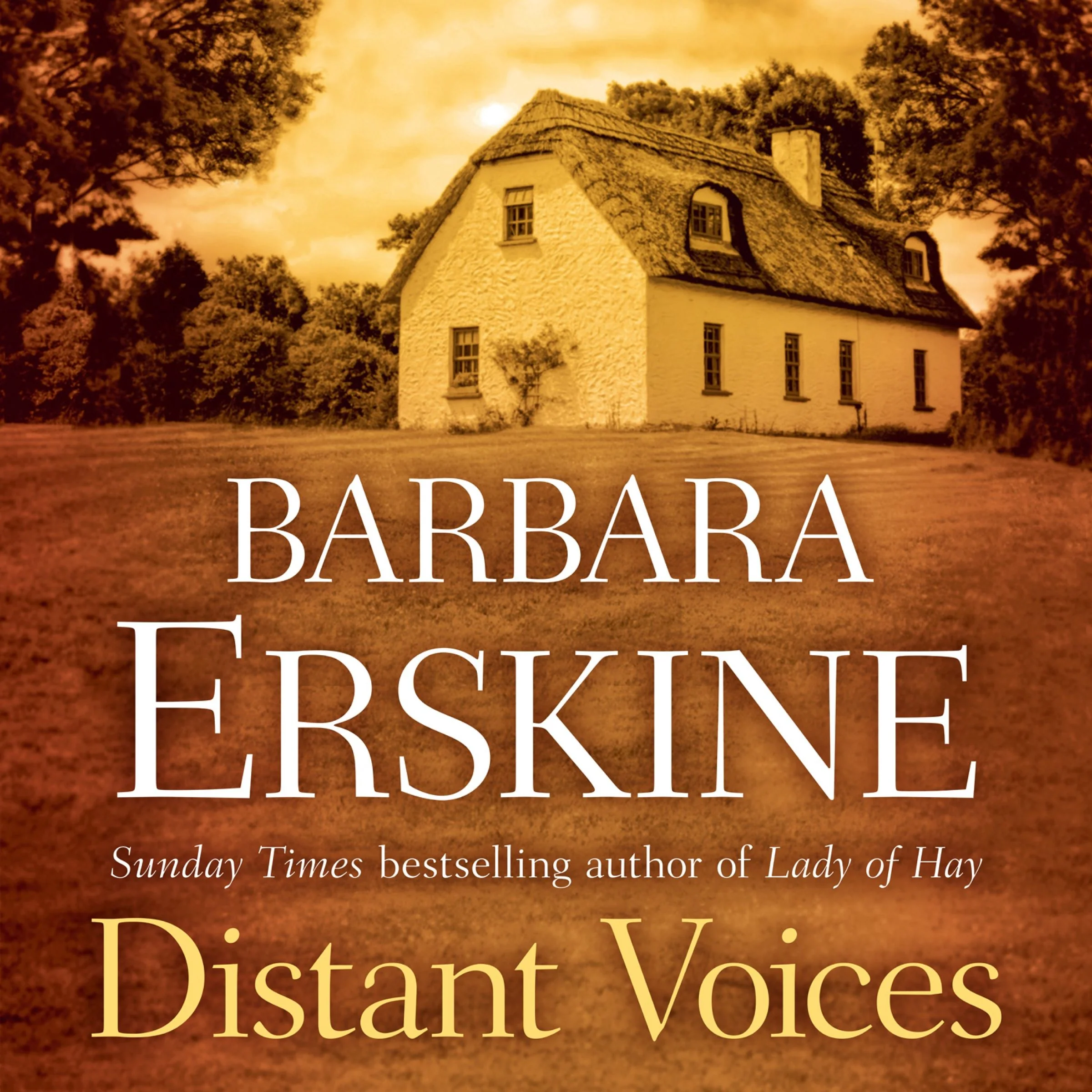 Distant Voices - Image 4