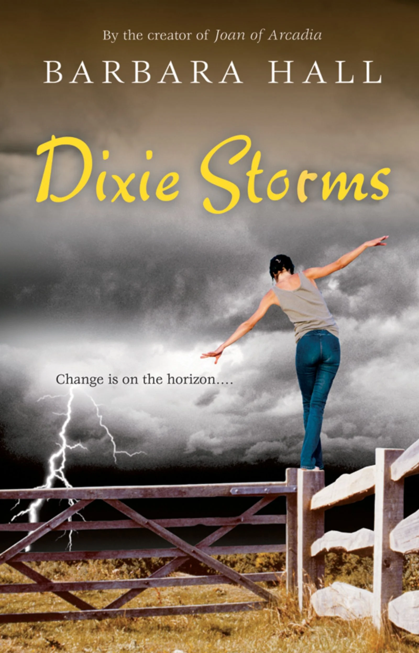 Dixie Storms - Image 2