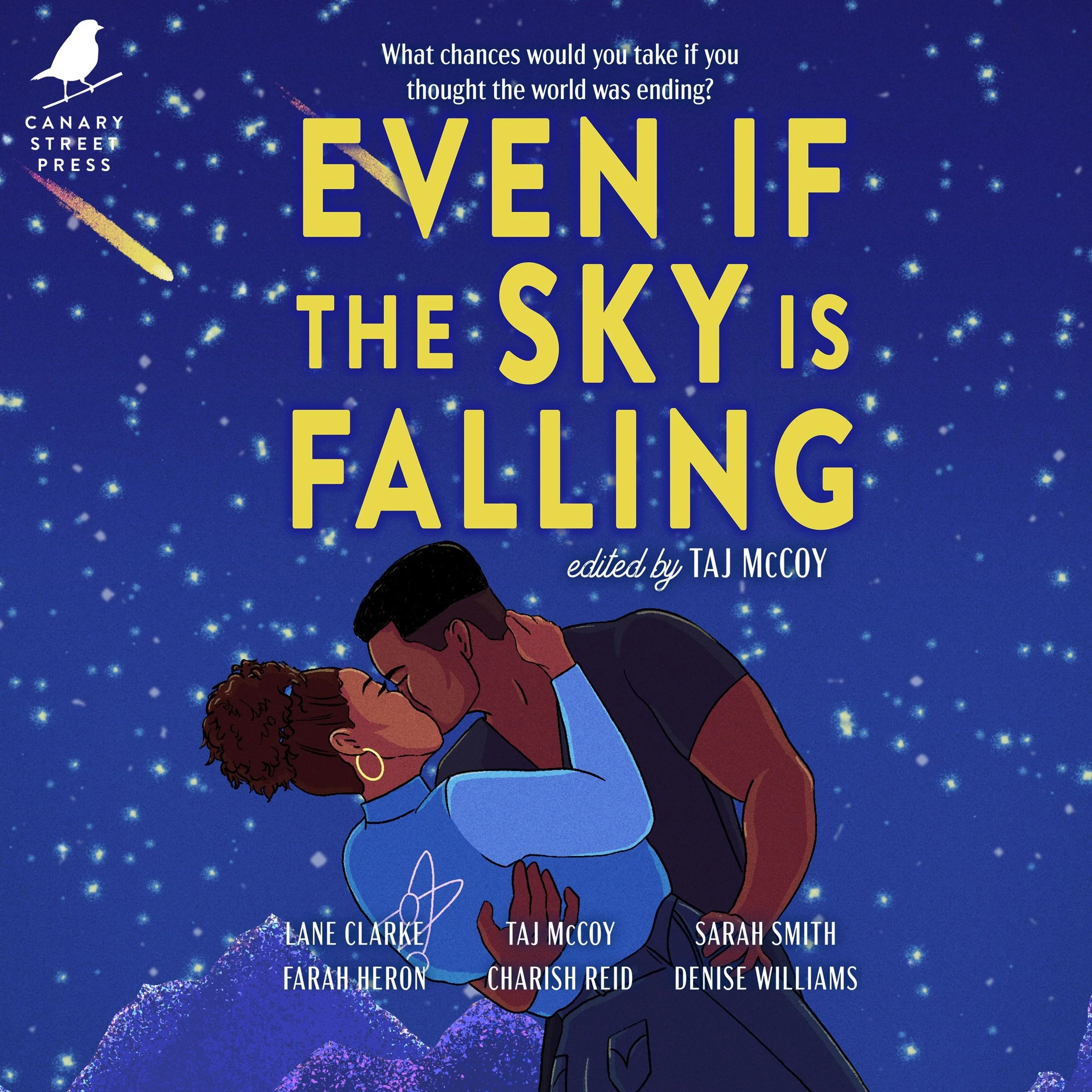 Even If the Sky is Falling - Image 2