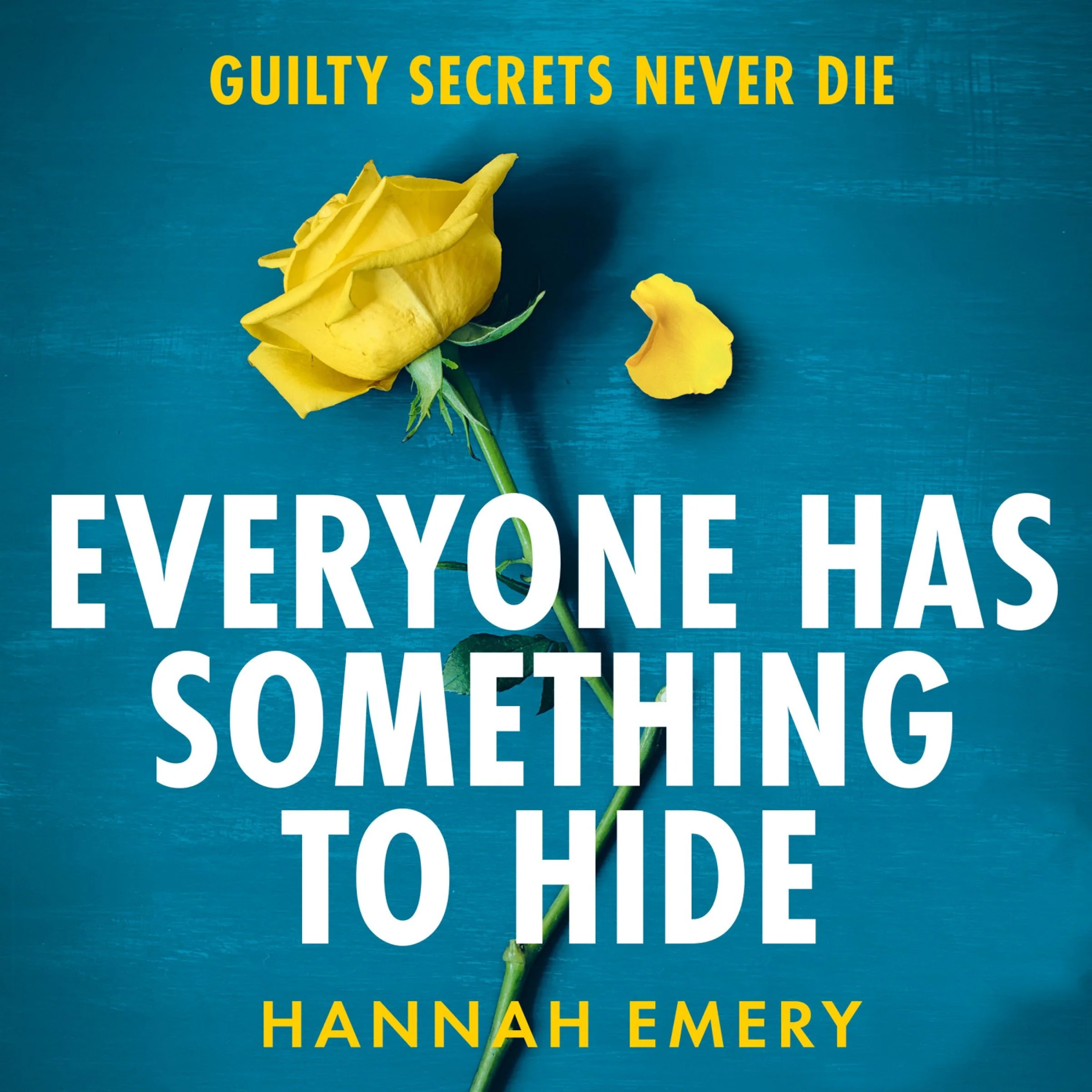 Everyone Has Something to Hide - Image 3