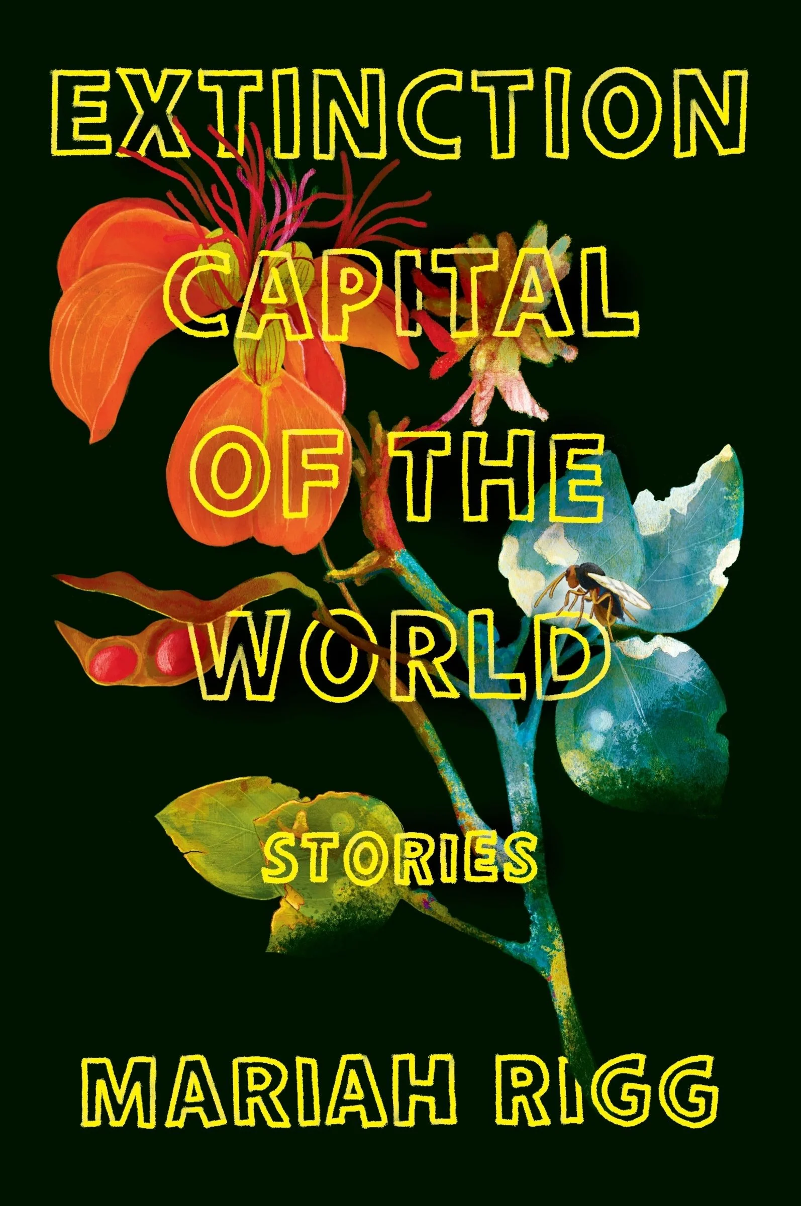 Extinction Capital of the World - Image 3