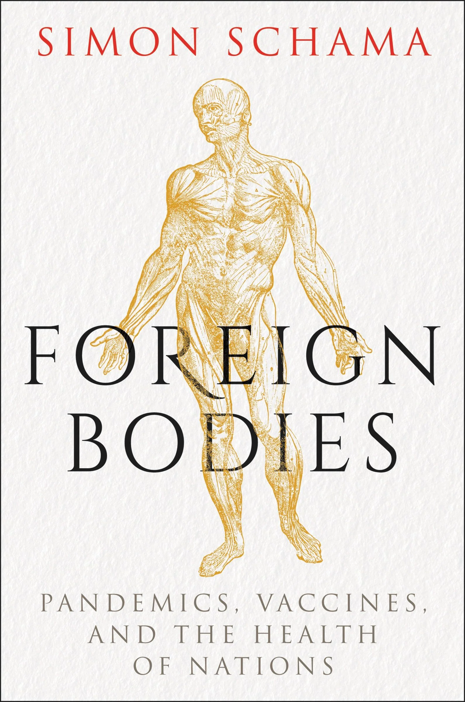 Foreign Bodies - Image 2