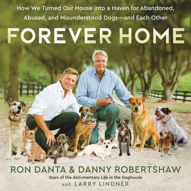Forever Home - Image 5