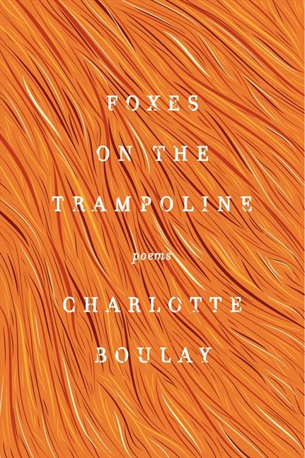 Foxes on the Trampoline