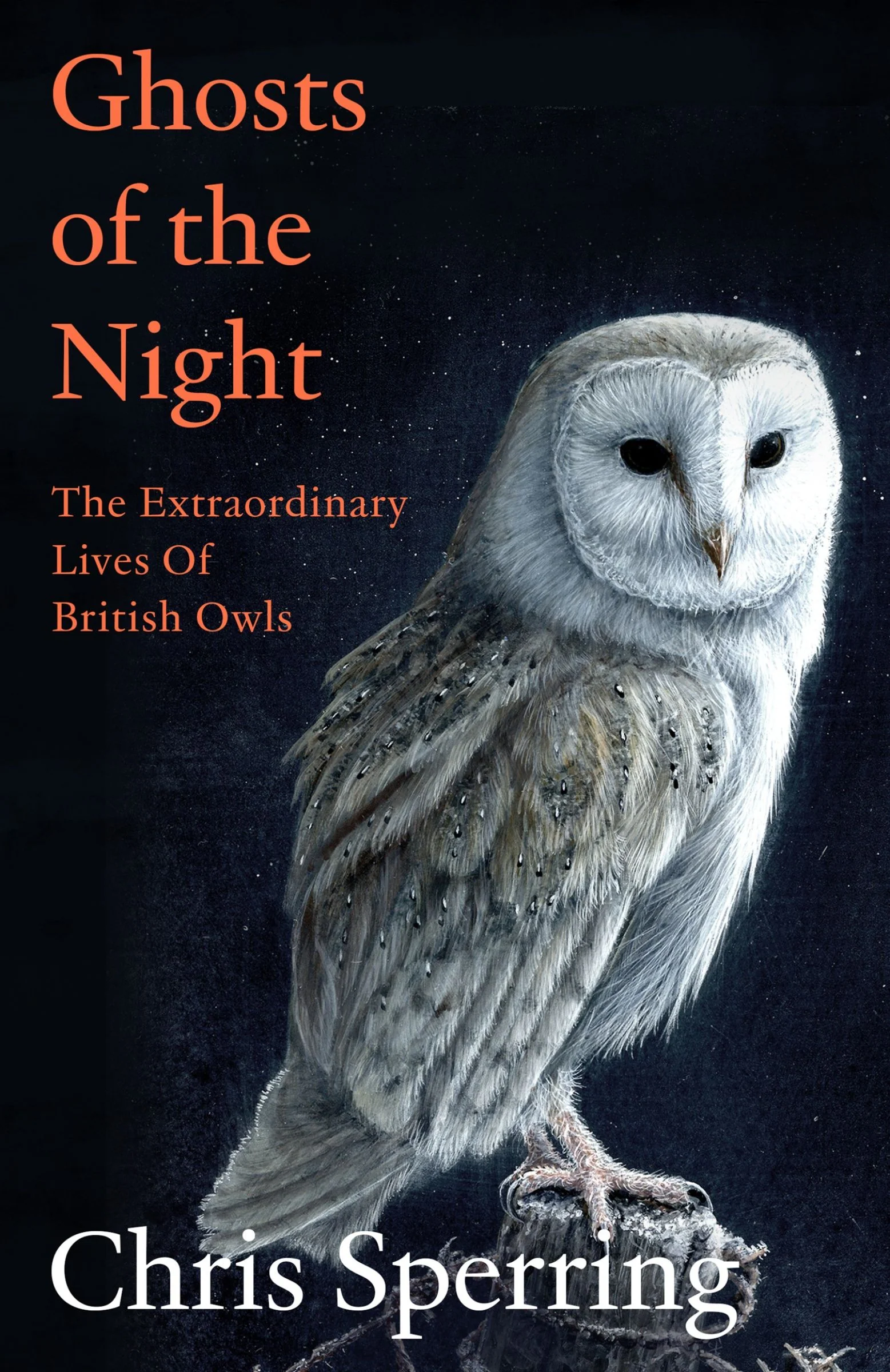 Ghosts of the Night: The Extraordinary Lives of British Owls - Image 3