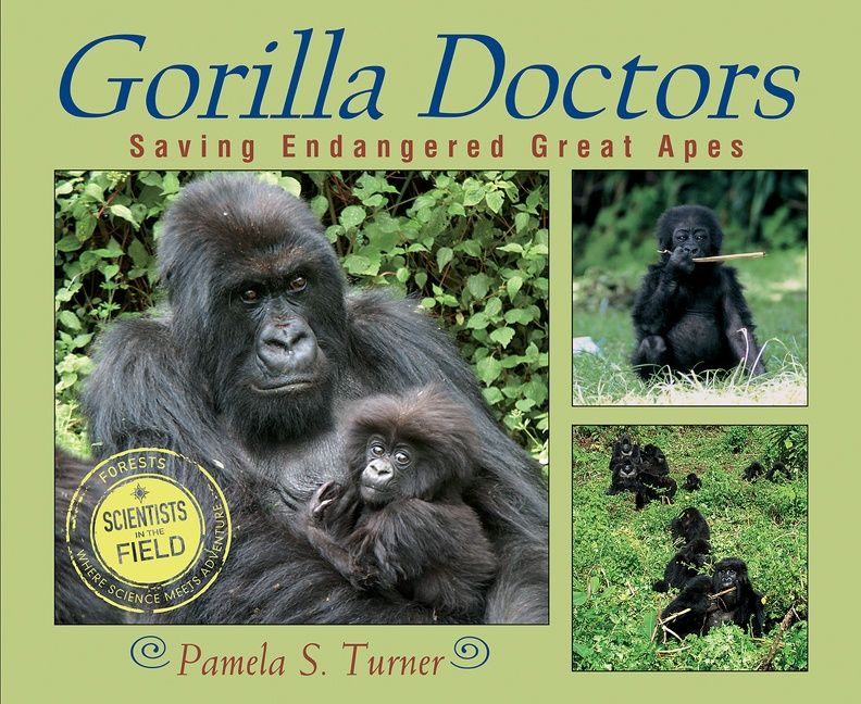 Gorilla Doctors: Saving Endangered Great Apes - Image 2
