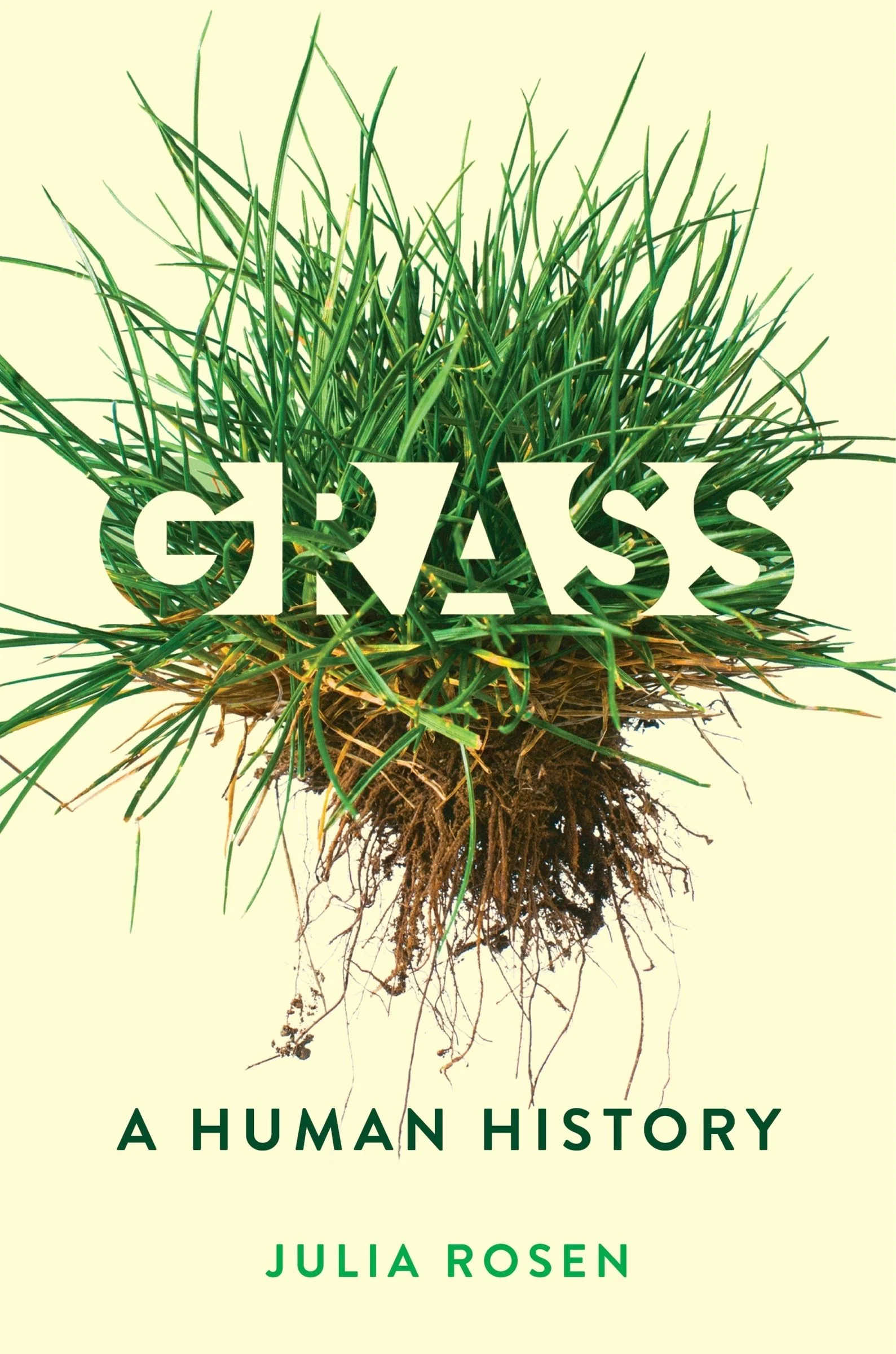 Grass