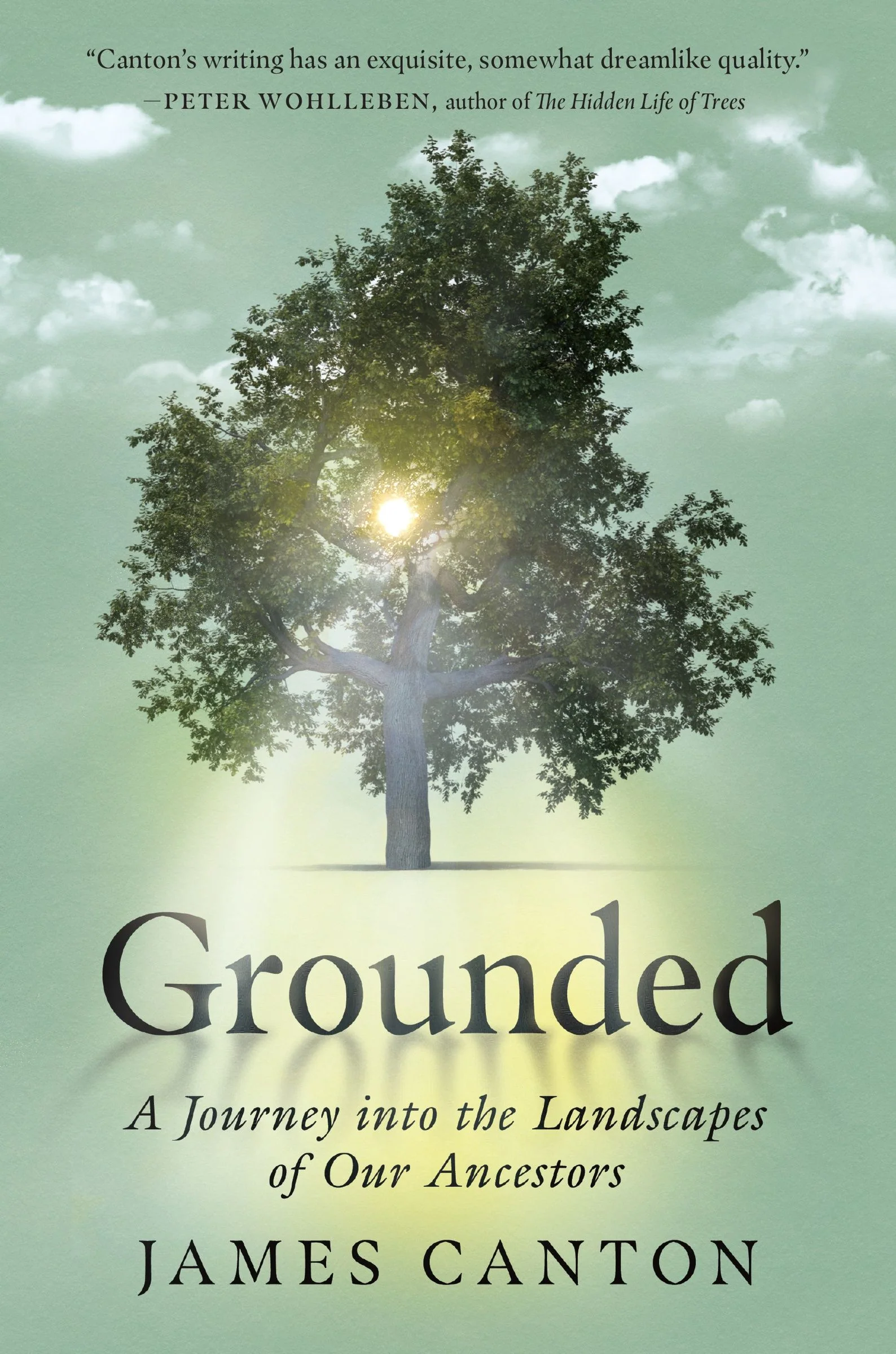 Grounded - Image 3