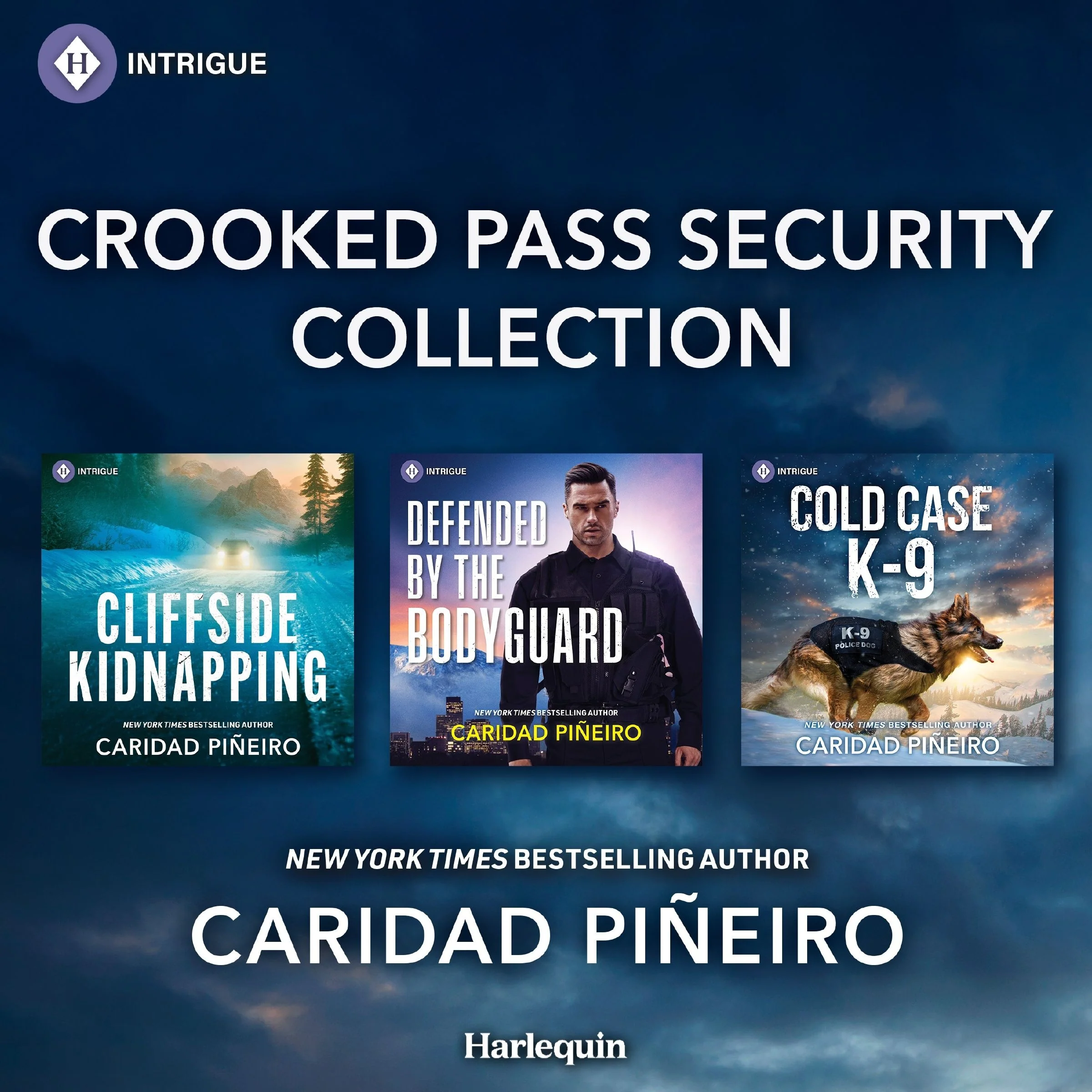 Harlequin Intrigue Crooked Pass Security Collection Vol 1 - Image 2