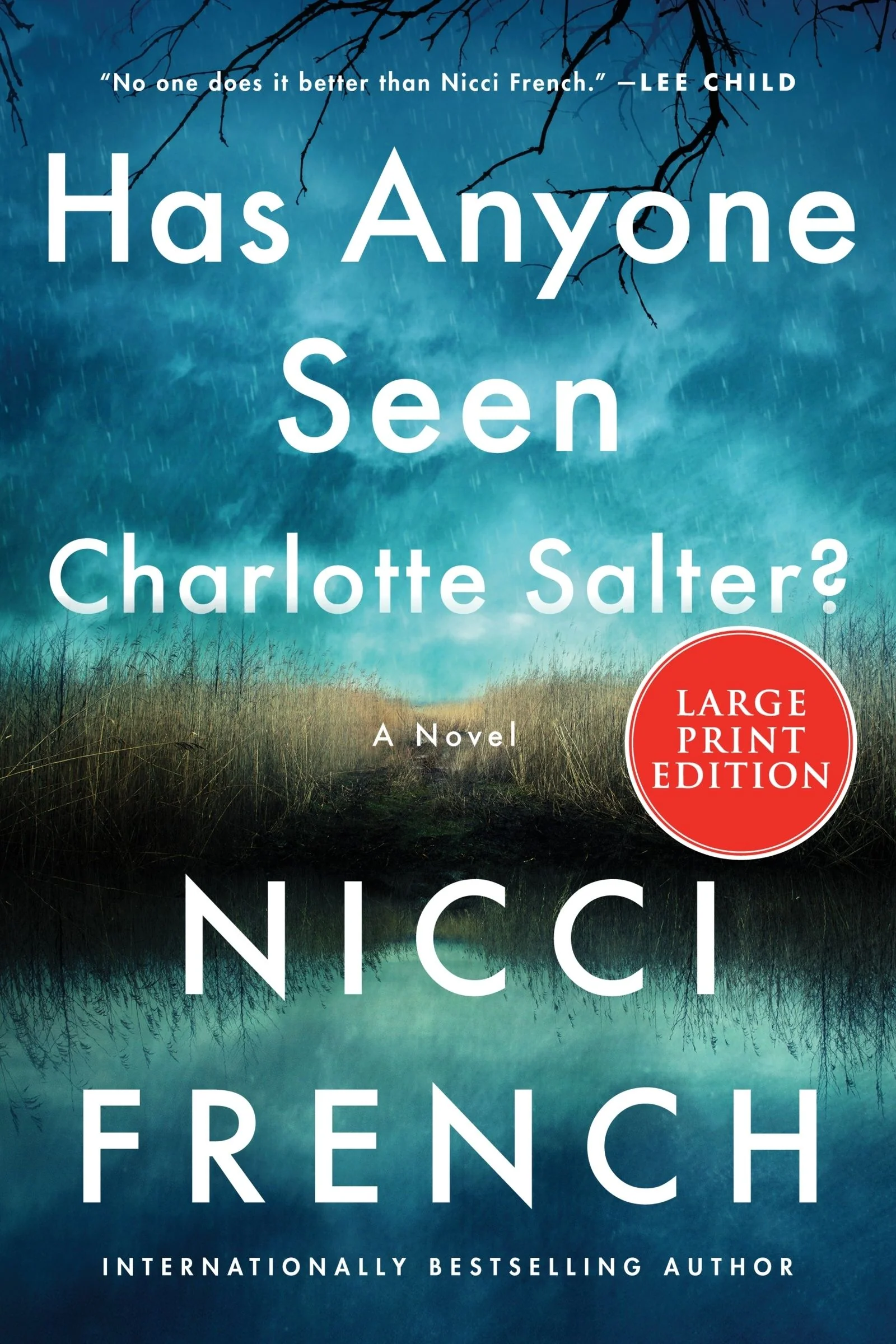 Has Anyone Seen Charlotte Salter? - Image 4