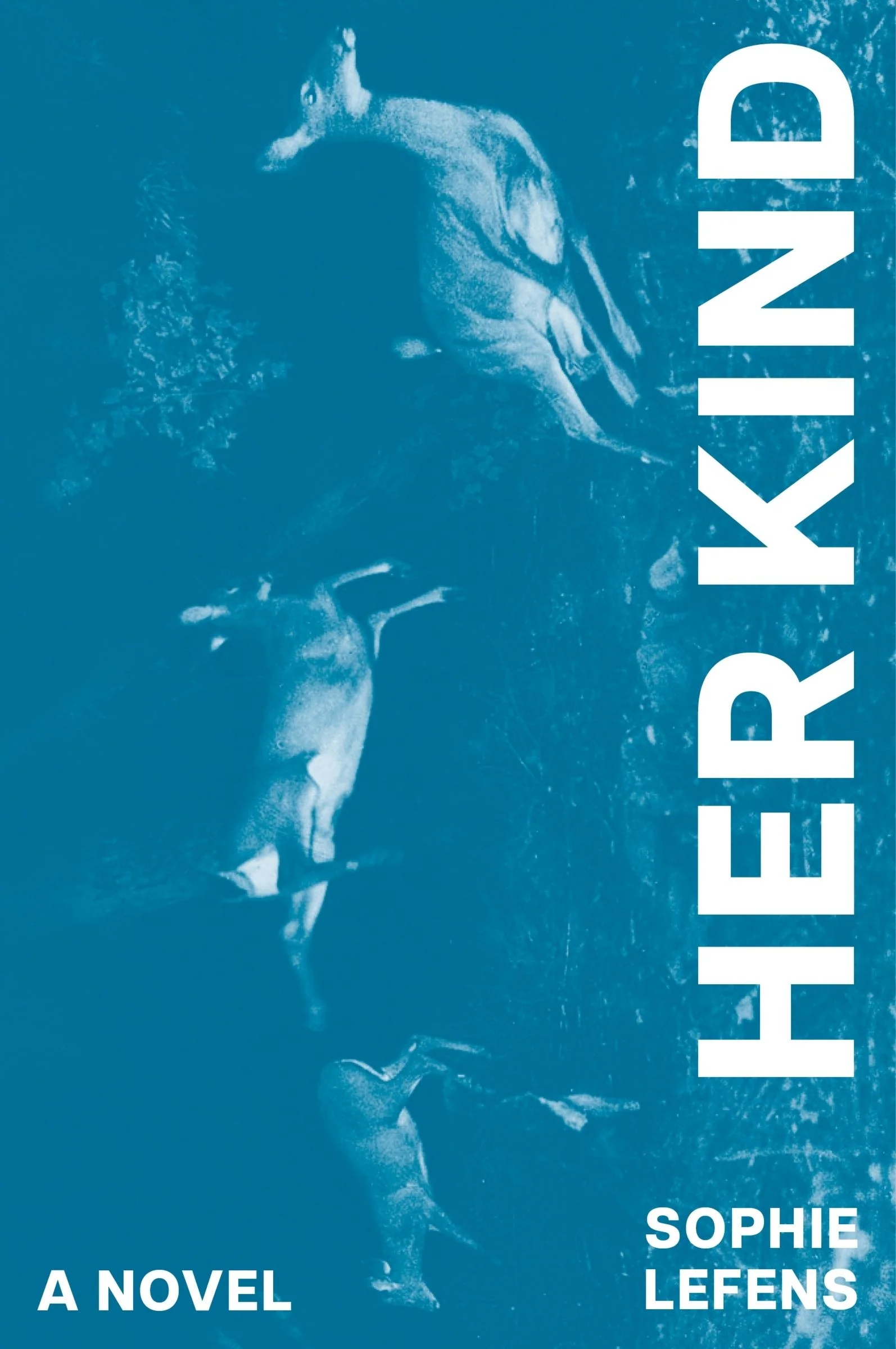 Her Kind - Image 3