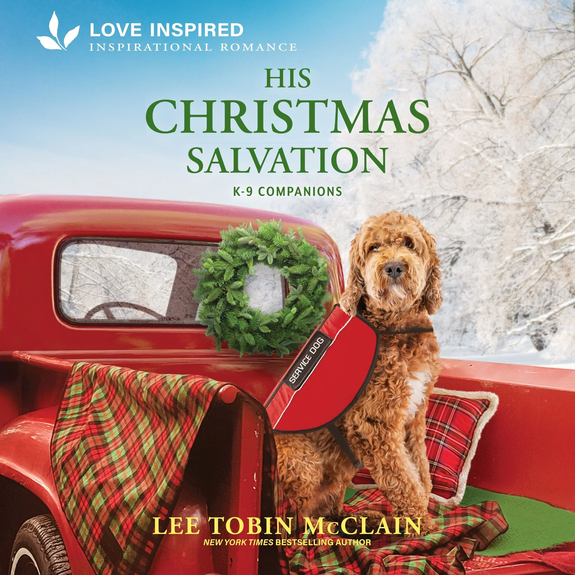 His Christmas Salvation - Image 2